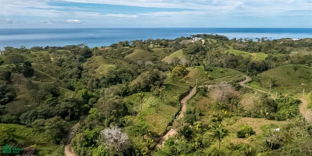 0 bed Land For Sale in Puntarenas, Puntarenas - 1