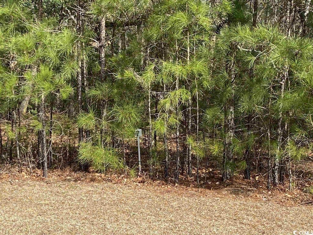 634 McCown Dr. Conway, SC 29526