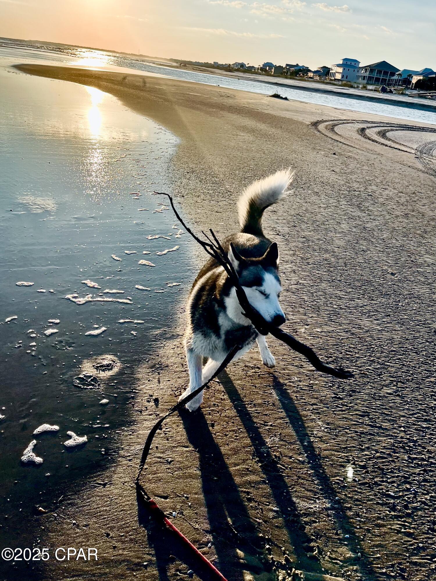 Image 17 For Tbd Cr 30-a  