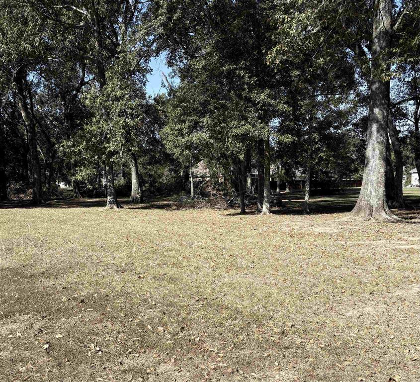 TBD River Oaks Drive — photo 2