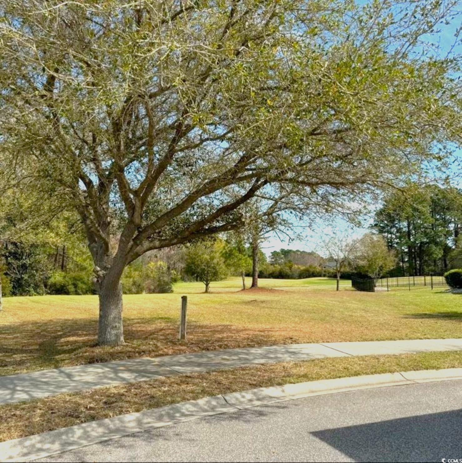 1005 Whooping Crane Dr. Conway, SC 29526