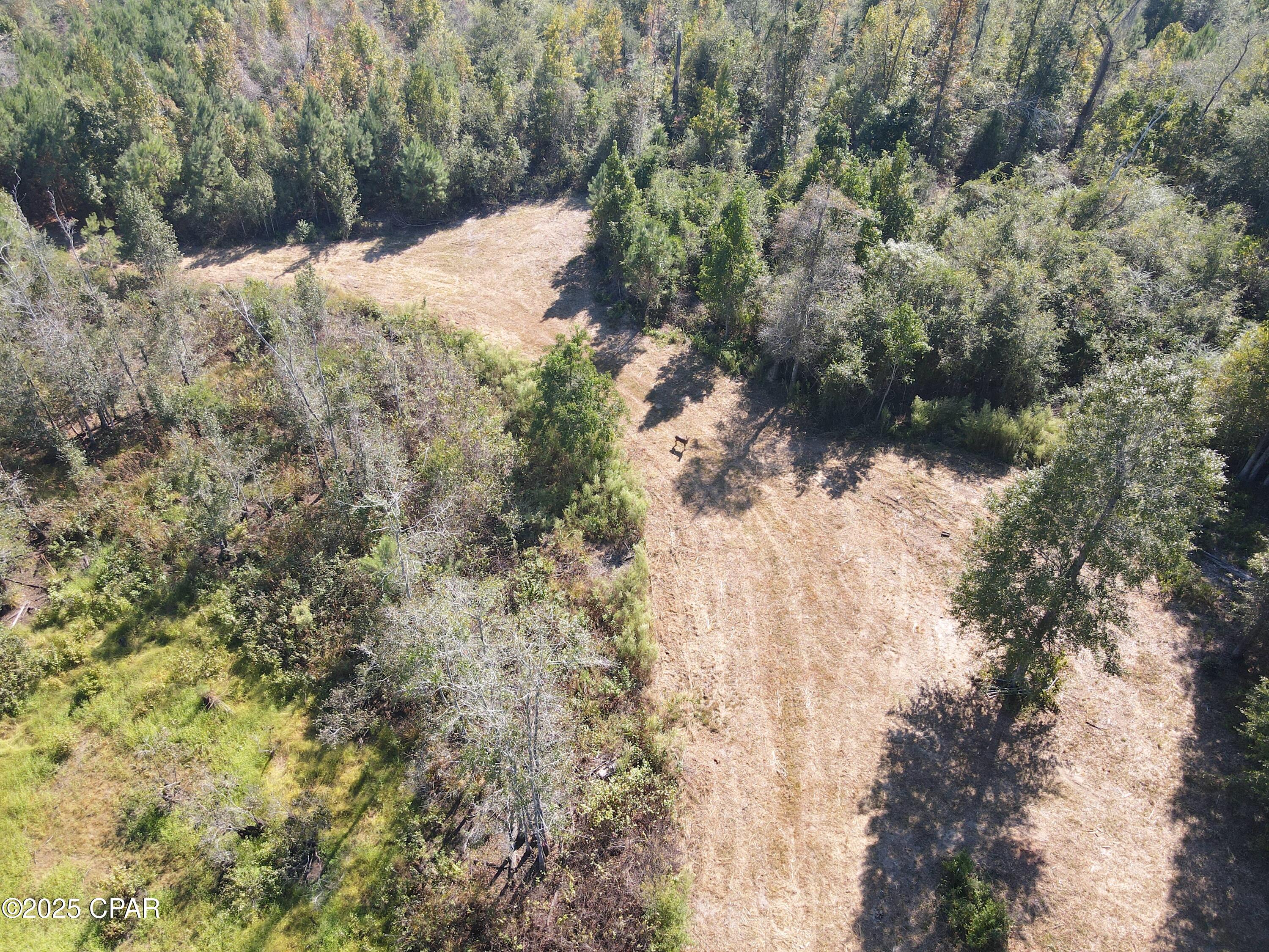 Details for 0 Brushey Pond Road, Grand Ridge, FL 32442