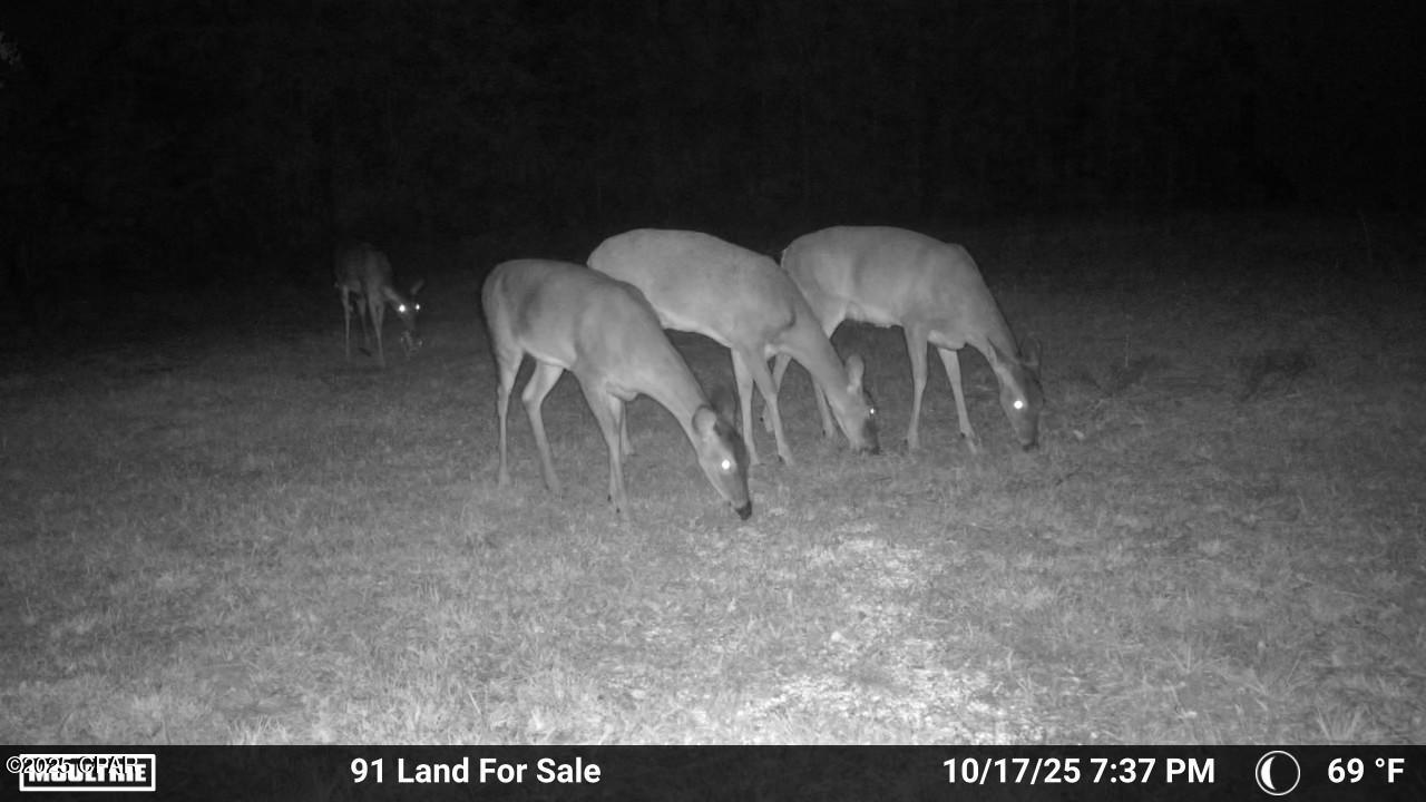 Image 10 For 0 Brushey Pond Road