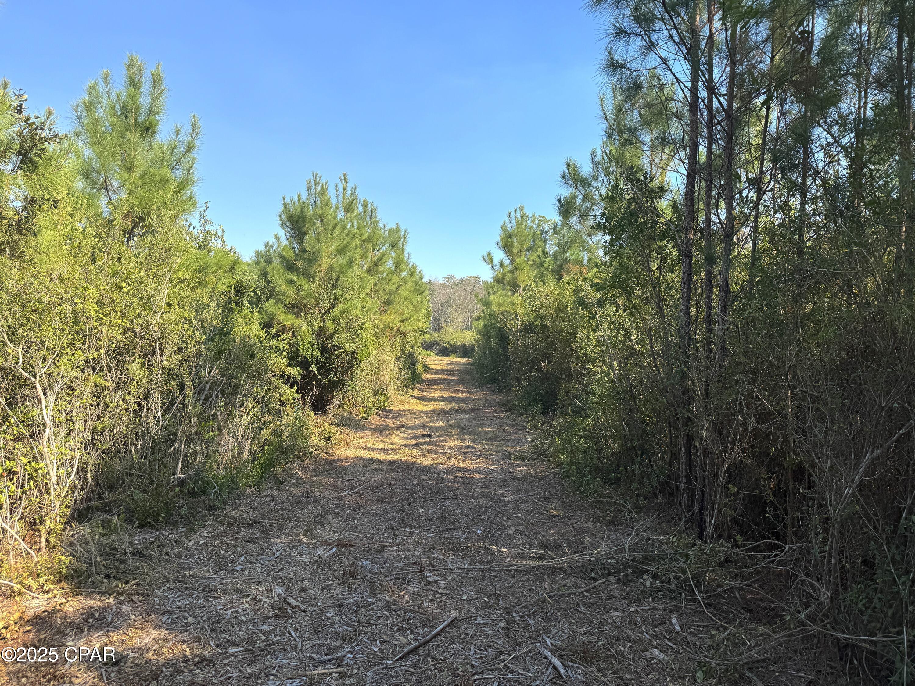 Image 12 For 0 Brushey Pond Road