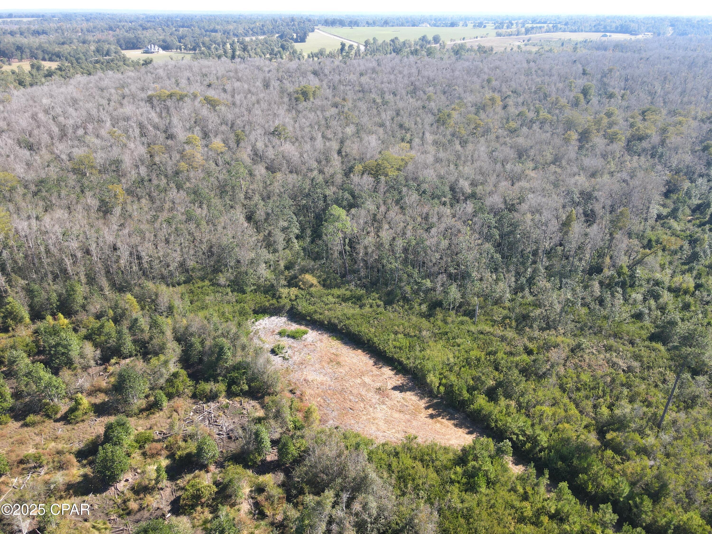 Image 14 For 0 Brushey Pond Road