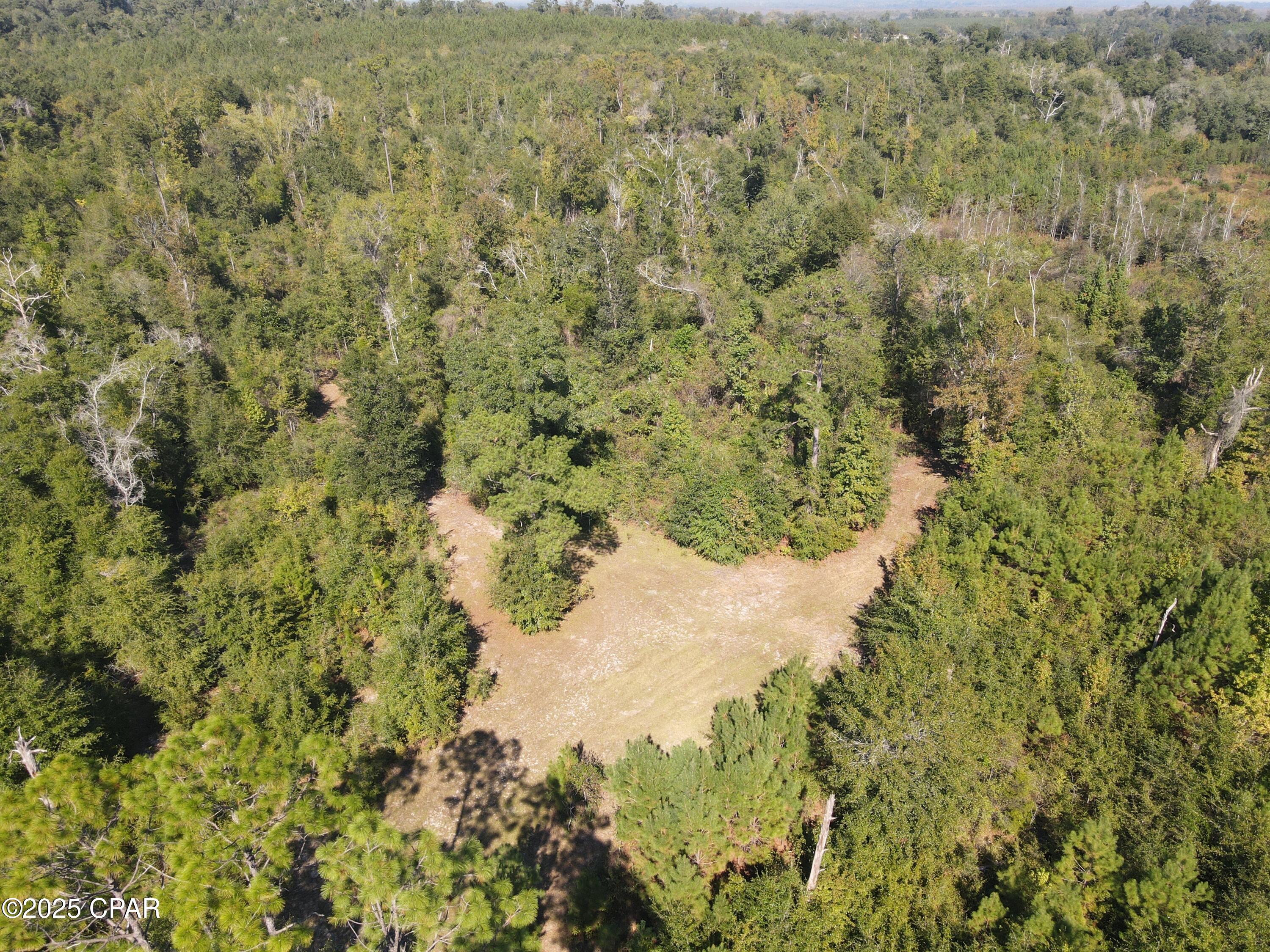 Image 15 For 0 Brushey Pond Road