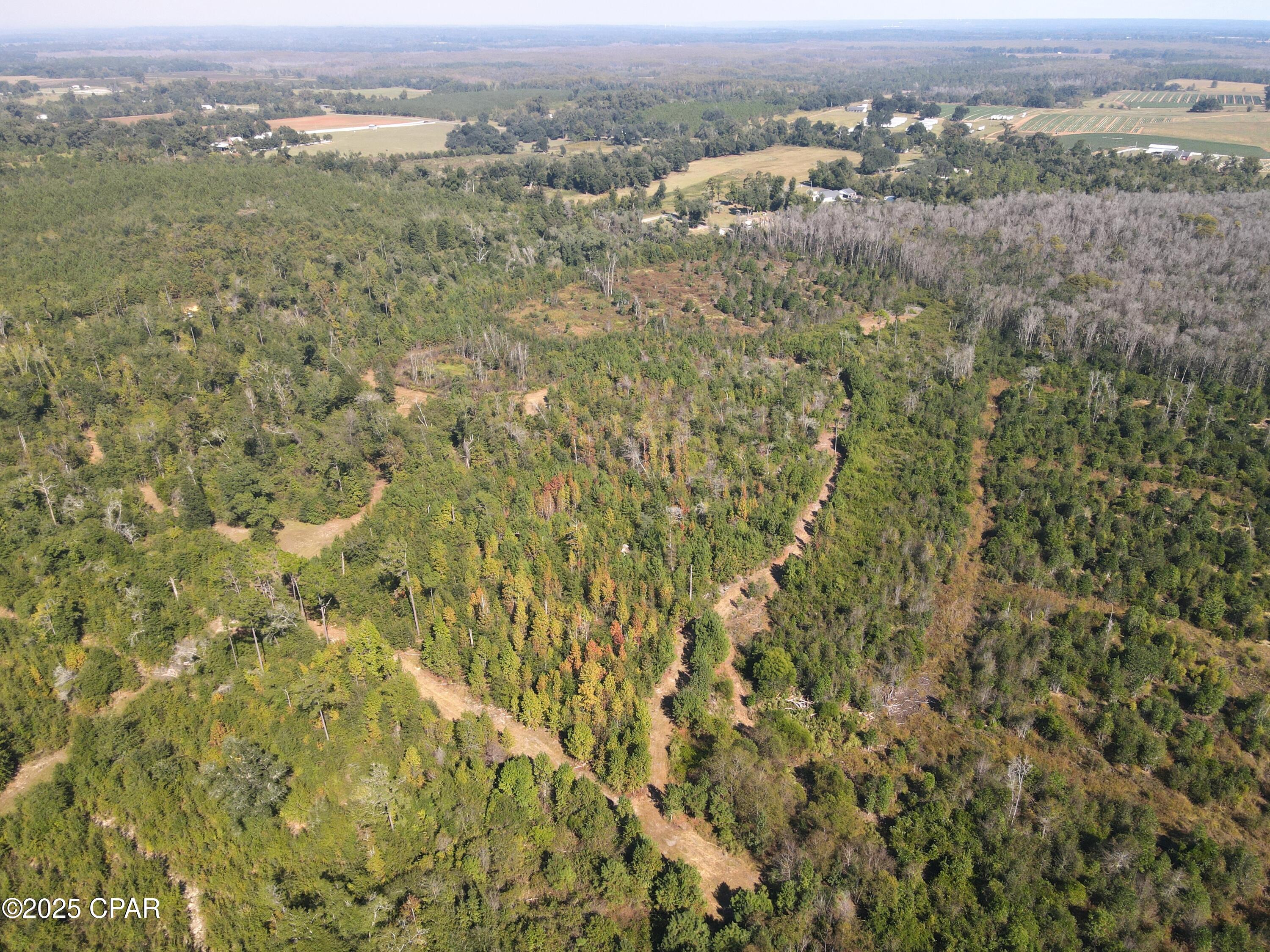 Image 16 For 0 Brushey Pond Road