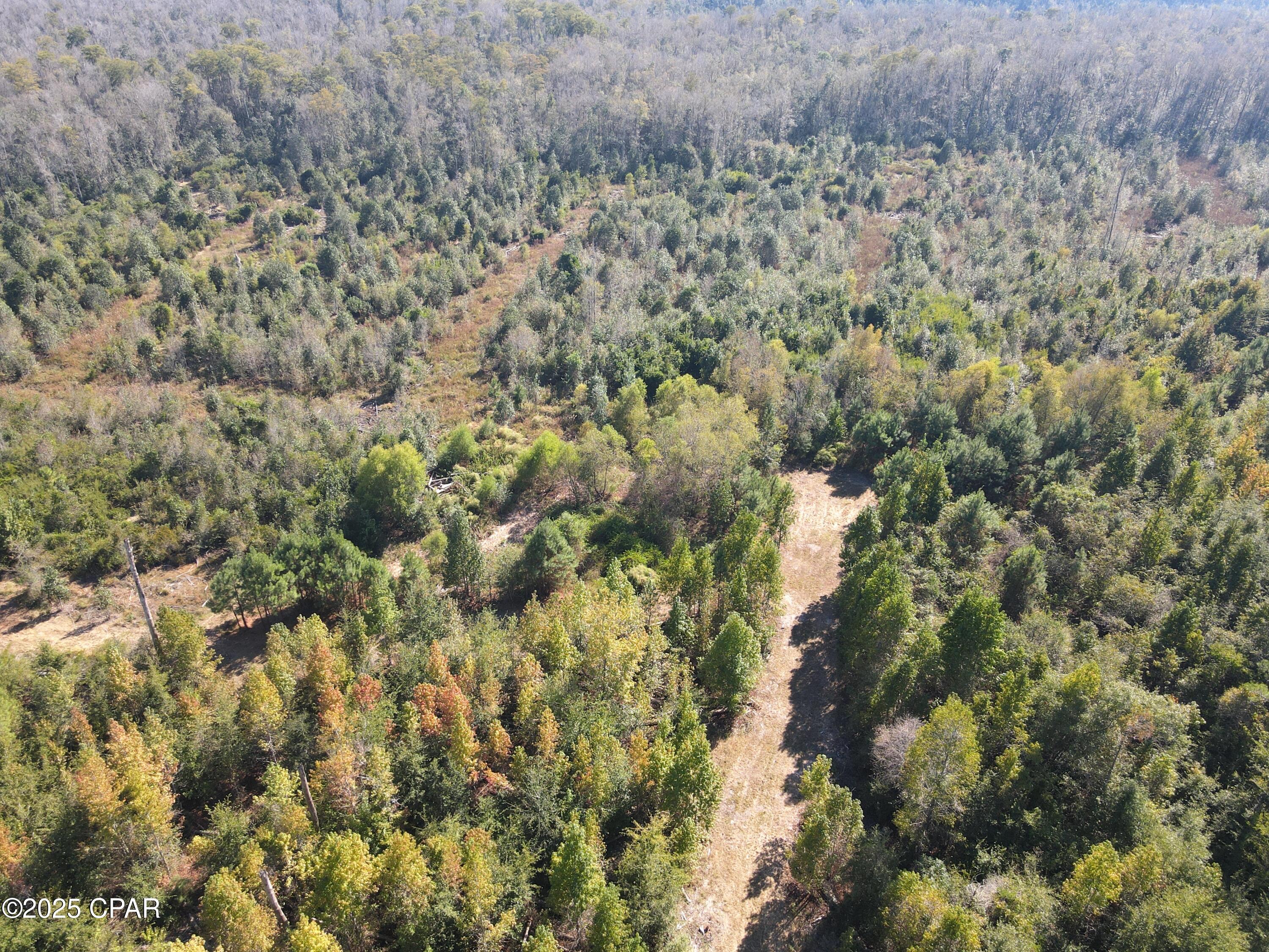 Image 18 For 0 Brushey Pond Road