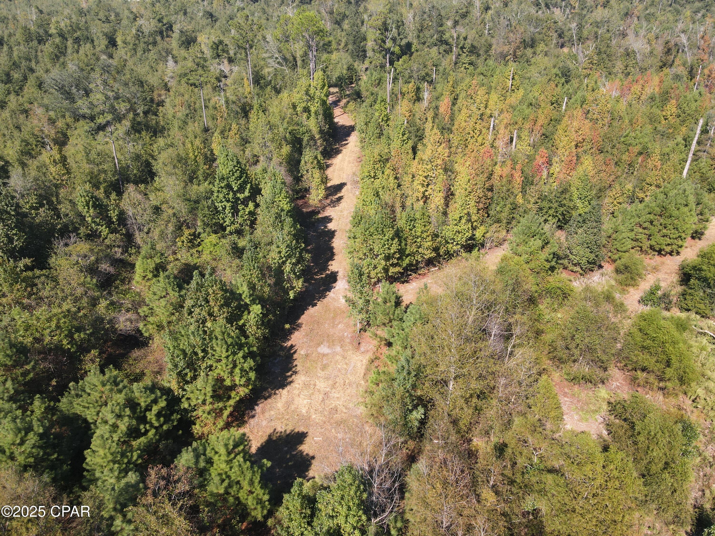 Image 19 For 0 Brushey Pond Road