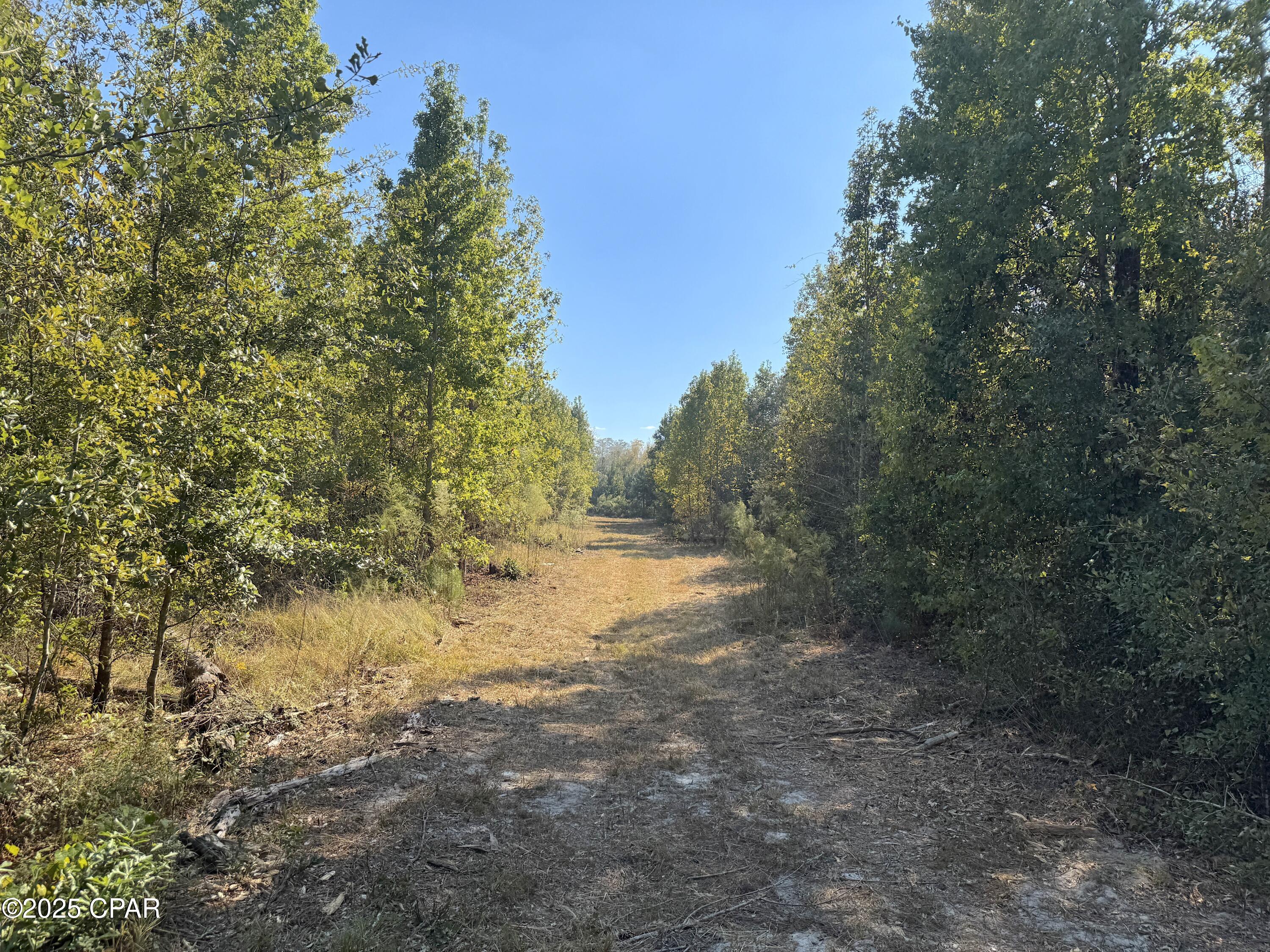 Image 20 For 0 Brushey Pond Road