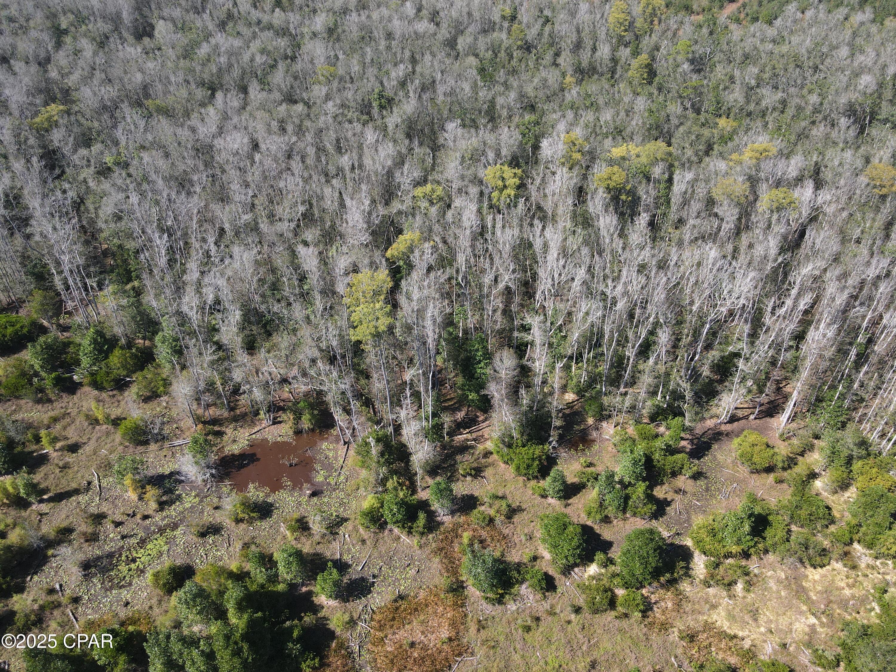 Image 23 For 0 Brushey Pond Road