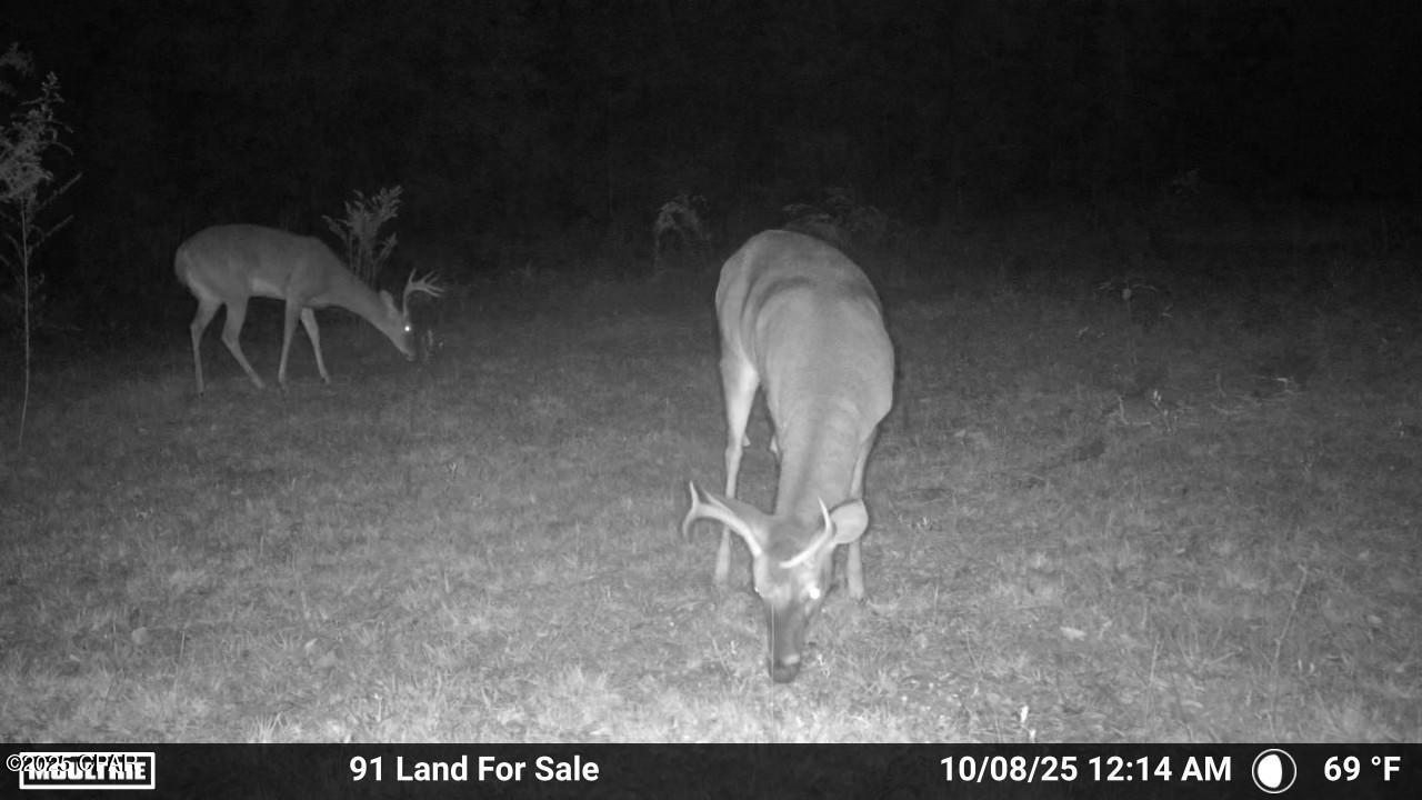 Image 24 For 0 Brushey Pond Road