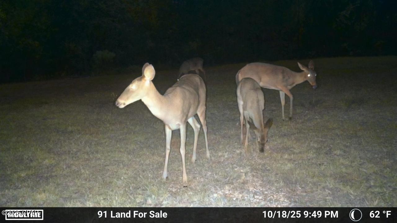 Image 25 For 0 Brushey Pond Road