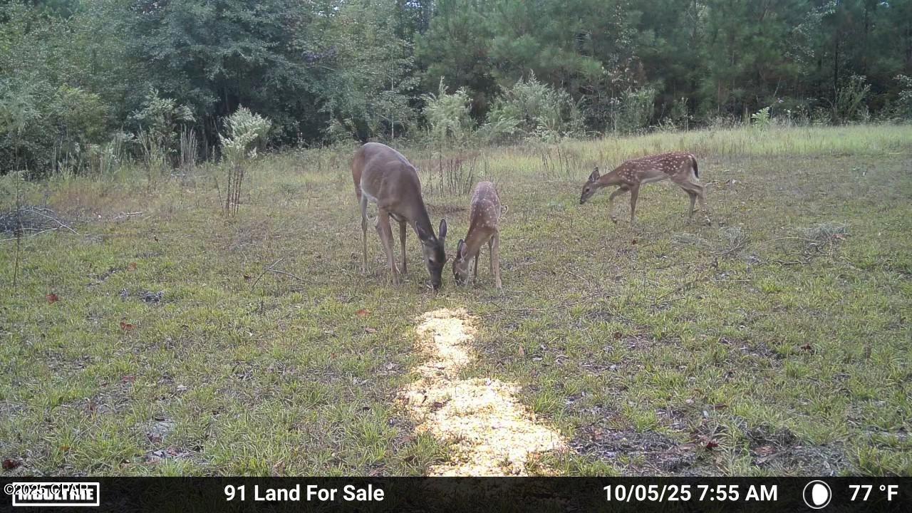 Image 27 For 0 Brushey Pond Road