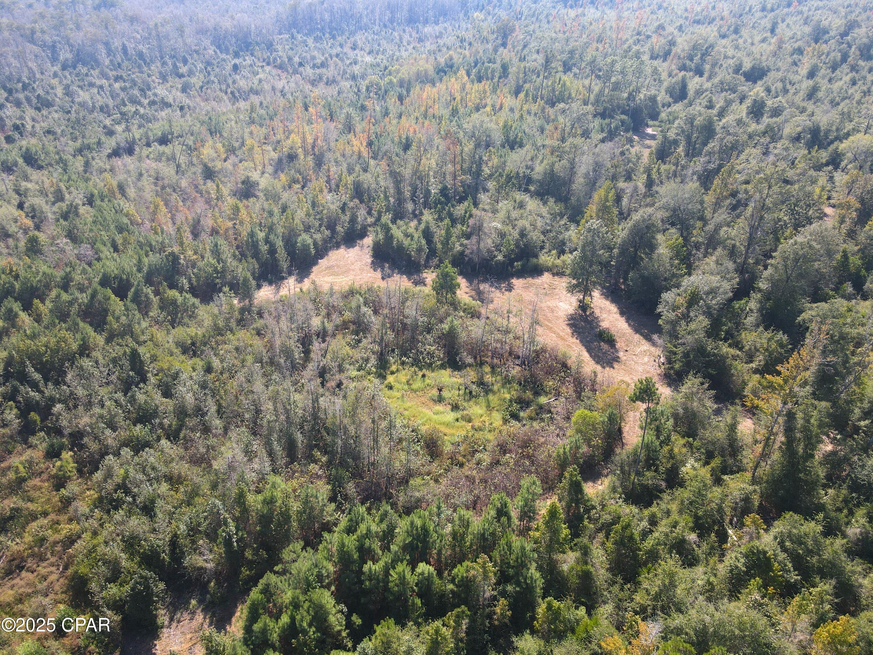 Image 4 For 0 Brushey Pond Road