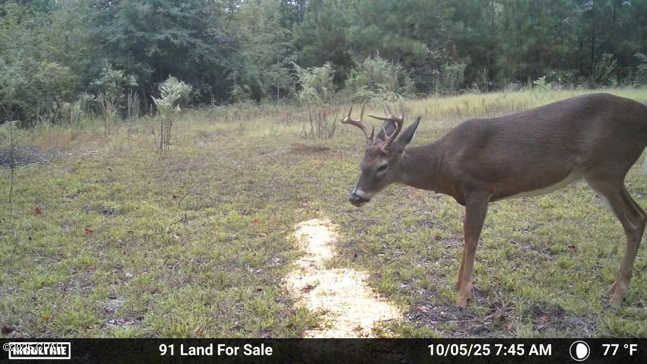 Image 7 For 0 Brushey Pond Road