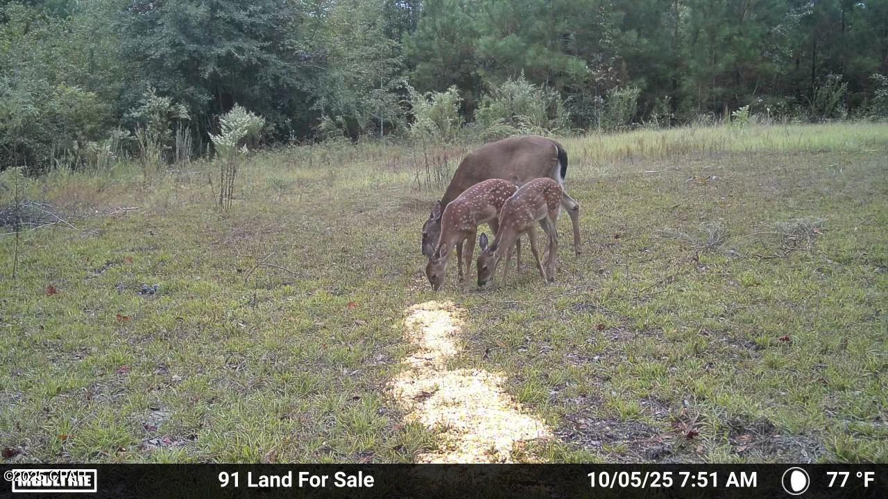Image 8 For 0 Brushey Pond Road