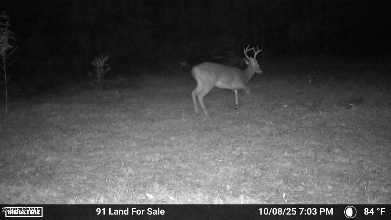 Image 9 For 0 Brushey Pond Road