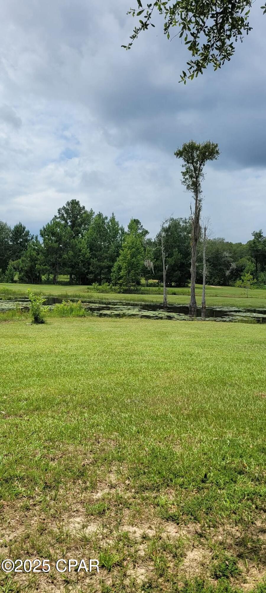 Image 39 For 4320 79 Highway