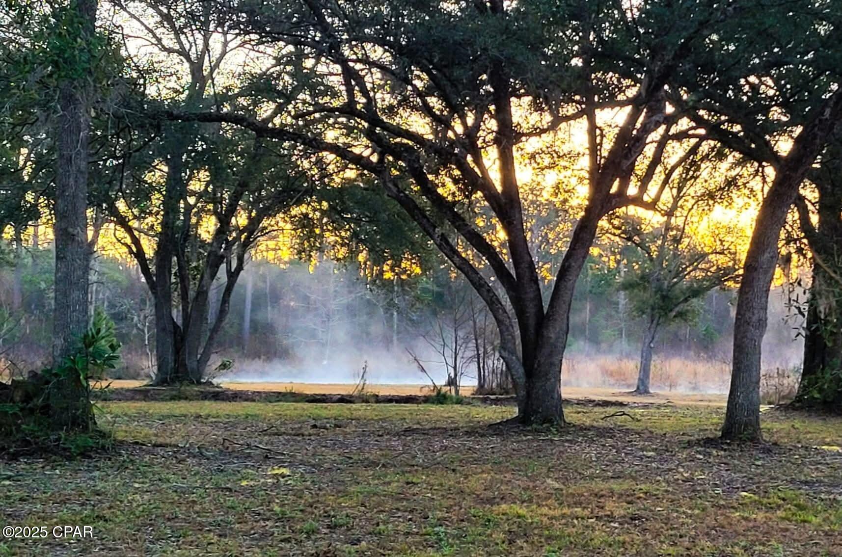 Image 40 For 4320 79 Highway