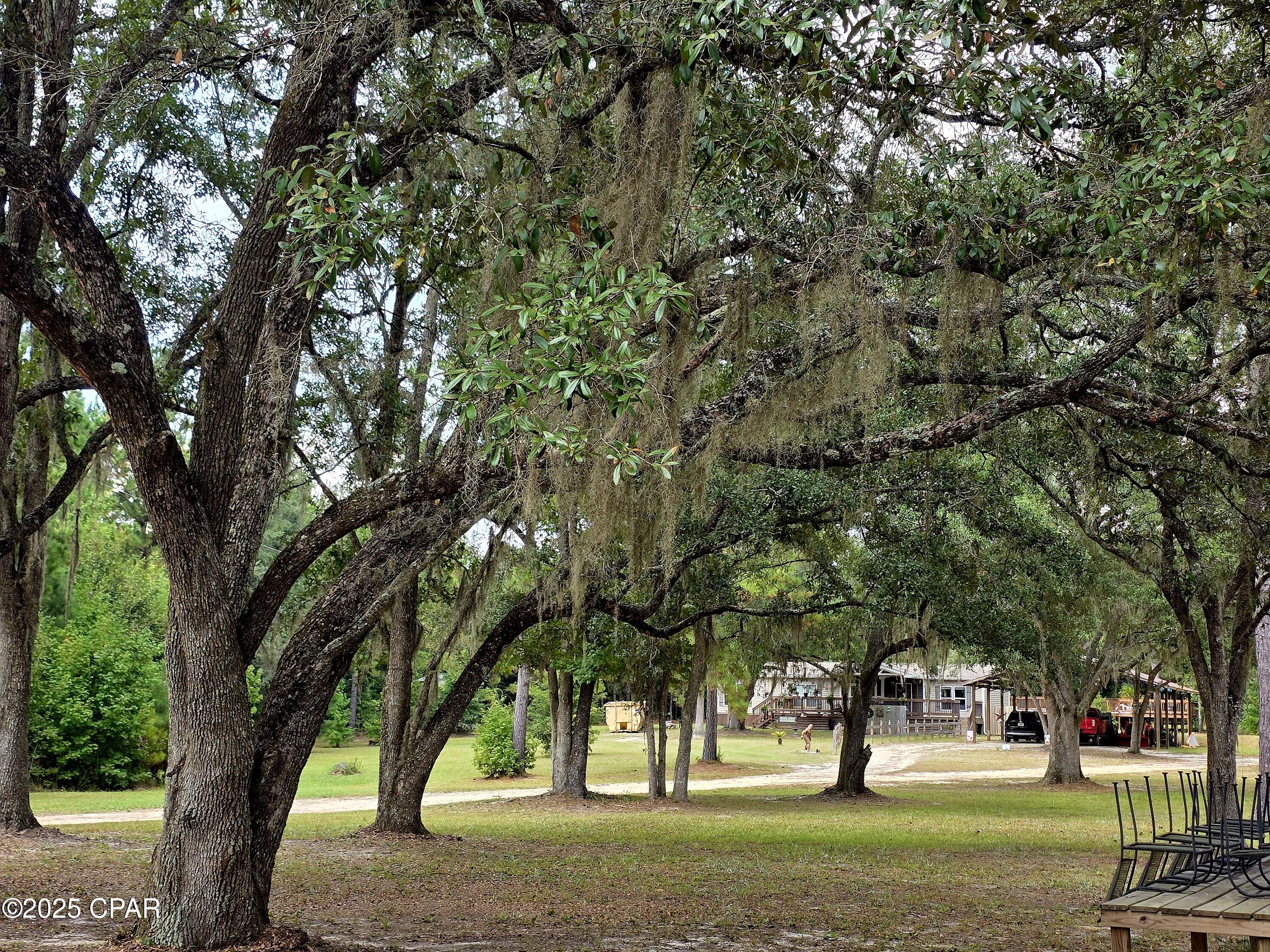 Image 45 For 4320 79 Highway