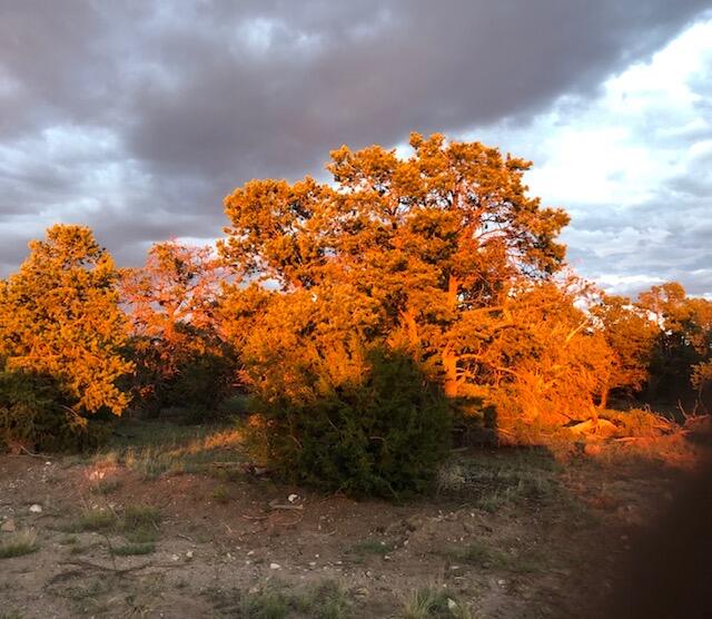 Homes for sale in Quemado, NM | 44 Brook Blvd, Quemado, NM 87829 | MLS# 1093497