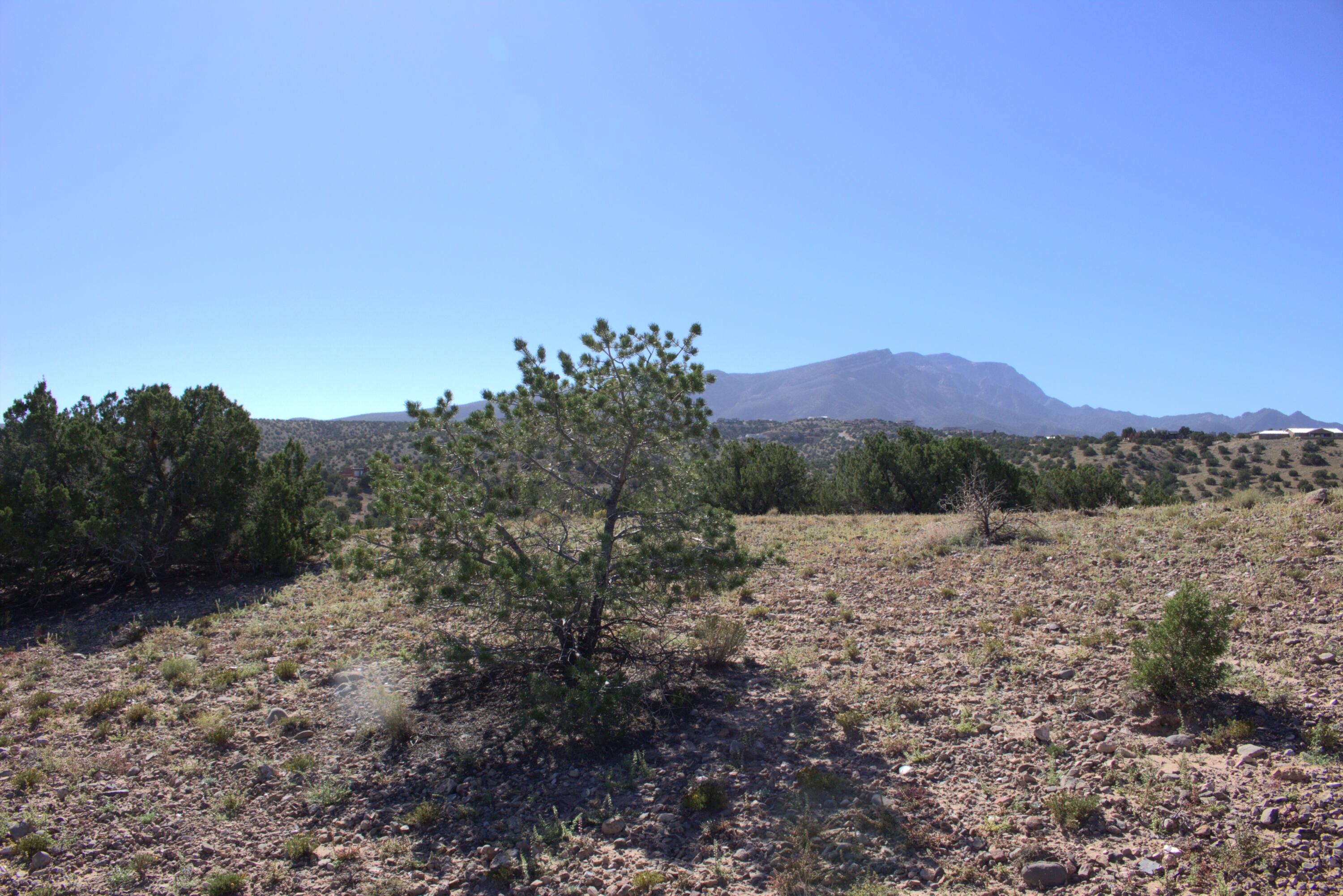 Homes for sale in Placitas, NM | Folsom Point, Placitas, NM 87043 | MLS# 1093533