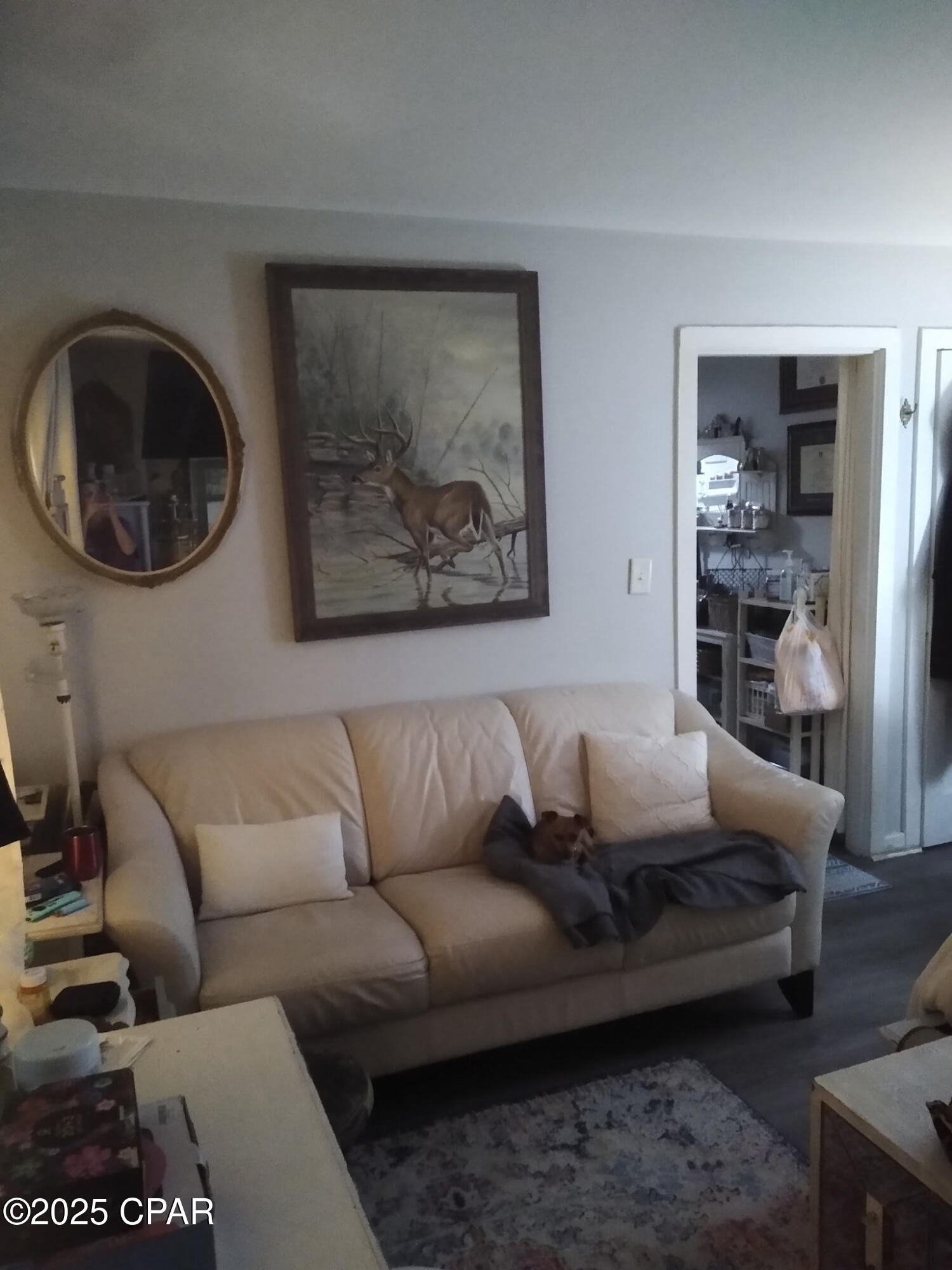 Image 44 For 215 Macarthur Avenue