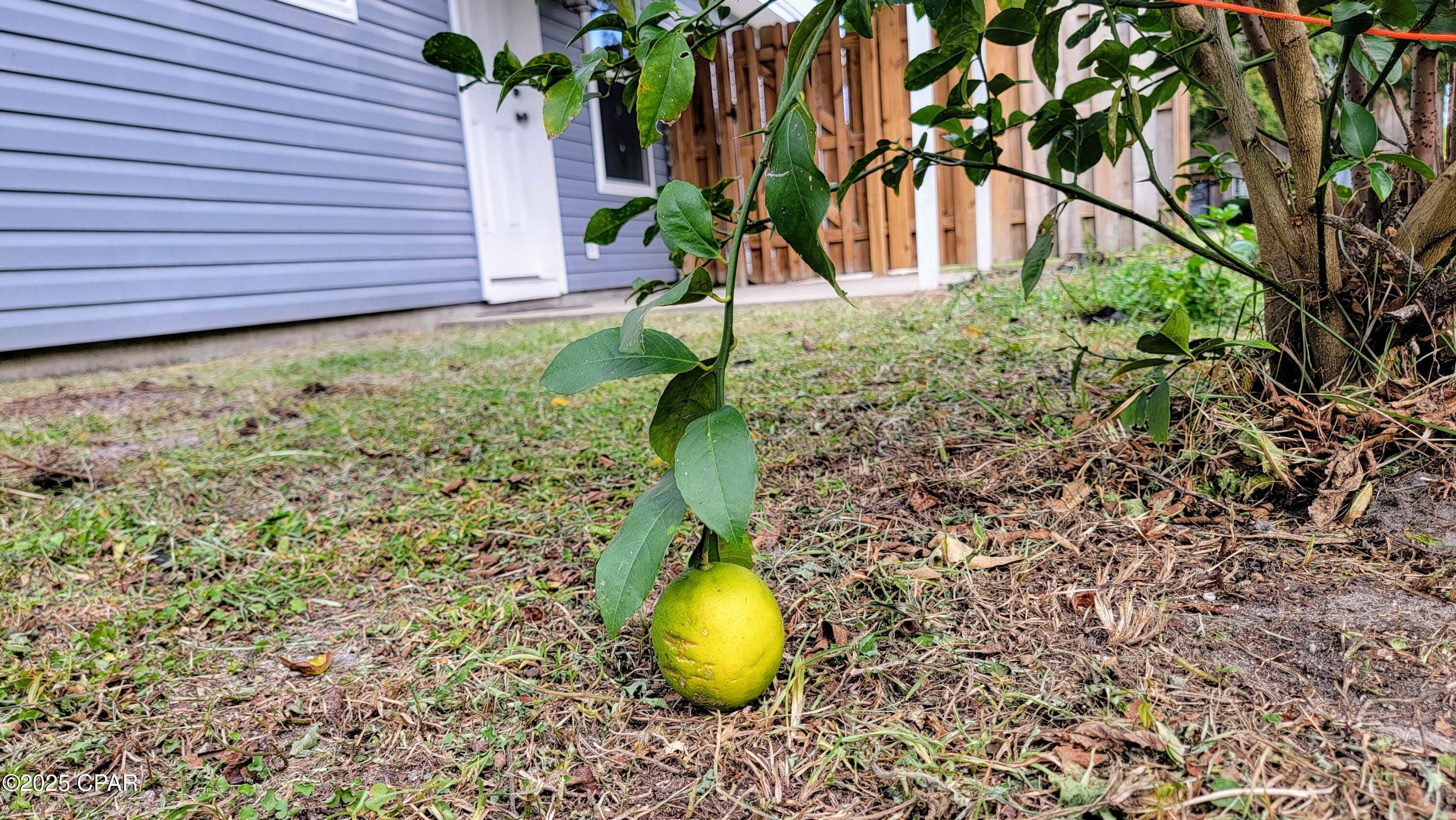 Image 25 For 1545 Chandlee Avenue