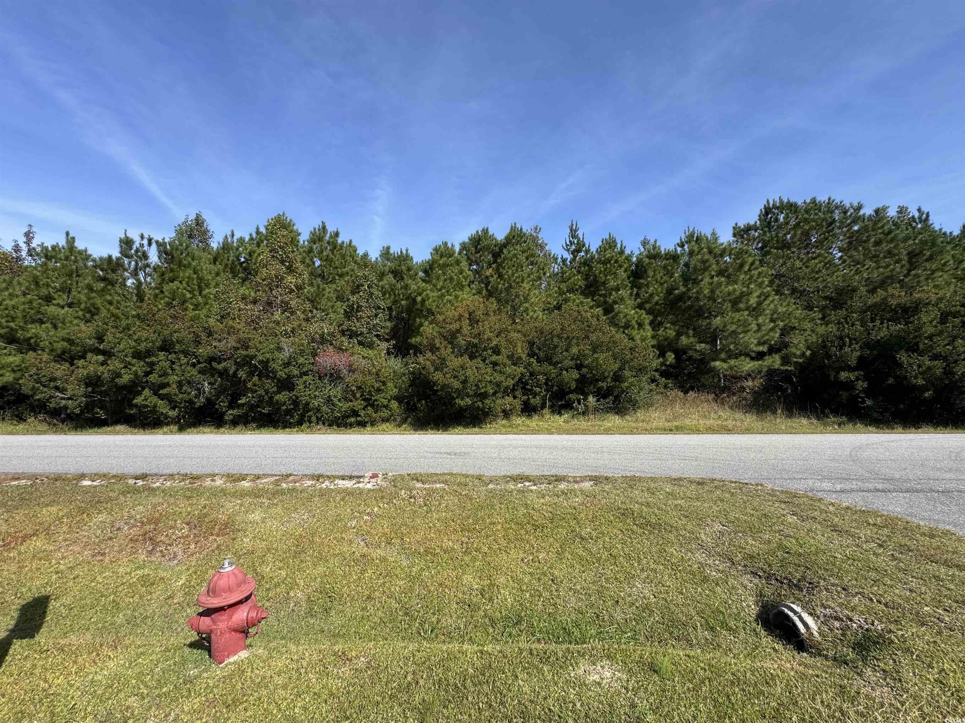 TBD Simpson Creek Dr. Loris, SC 29569