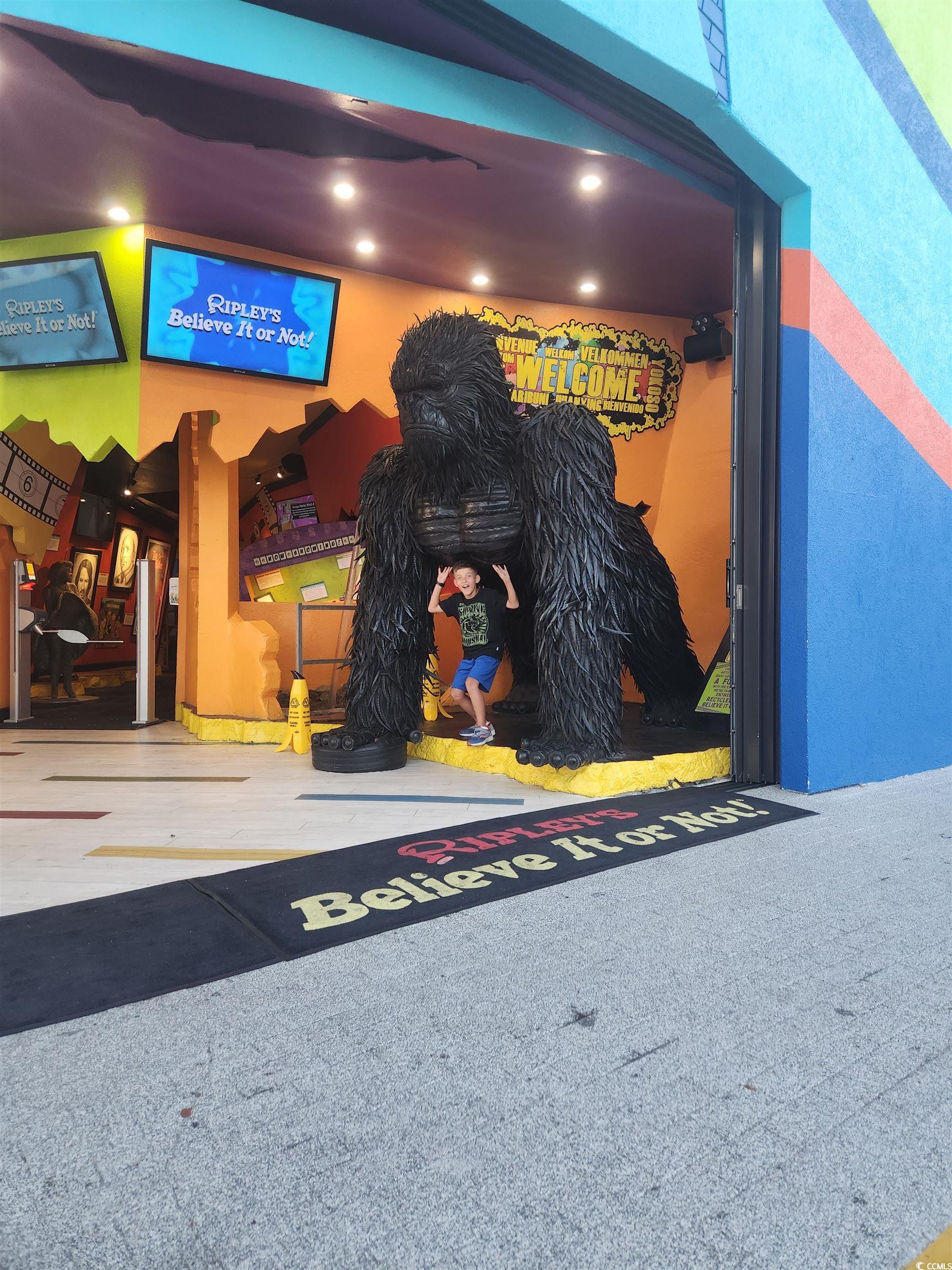 2525981 | Photo 34