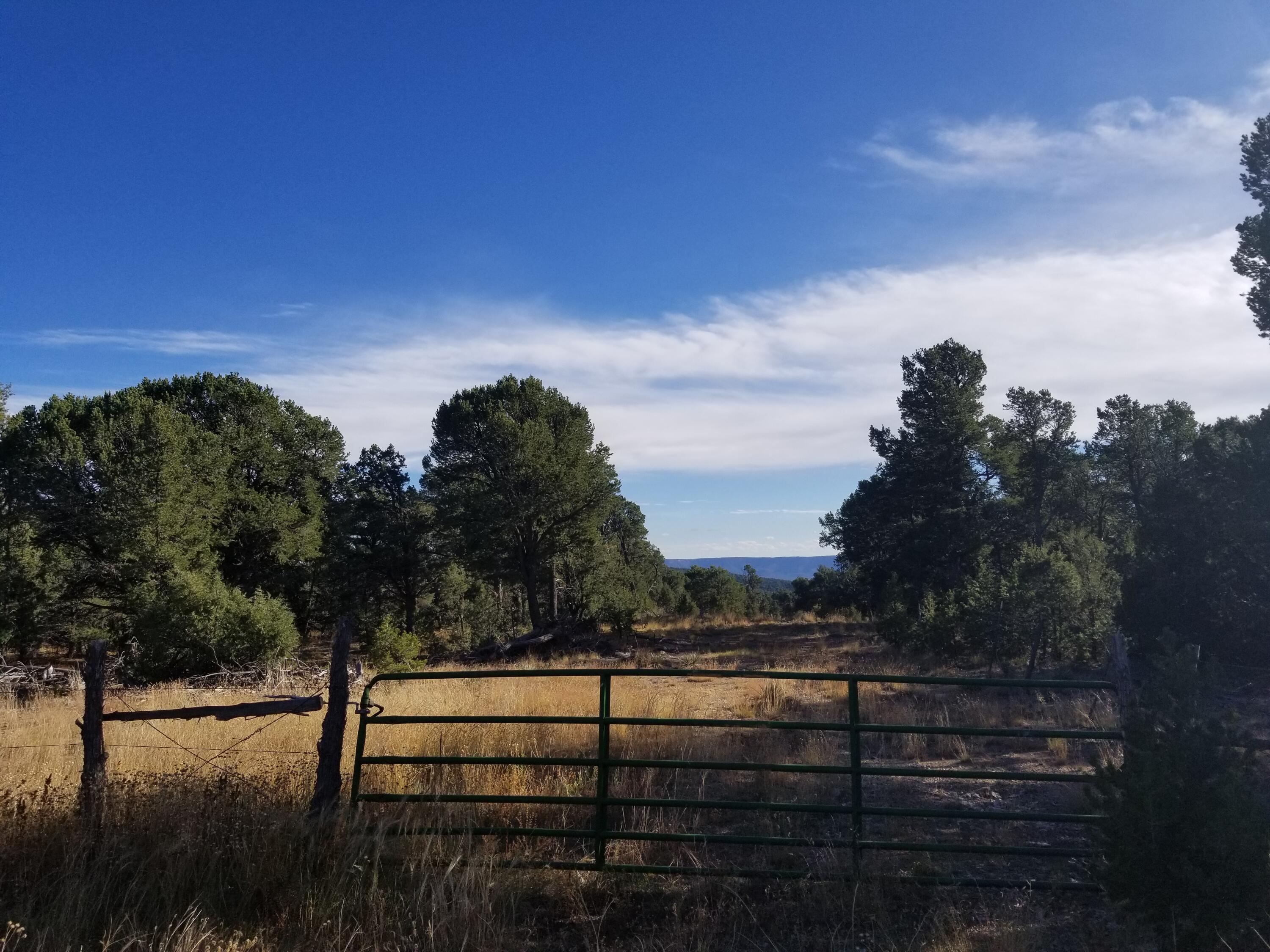 Photo 1 of Land for sale at Tbd Pecos, Pecos, NM 87552 | MLS# 1093581 | Listing updated on 2026-09-10