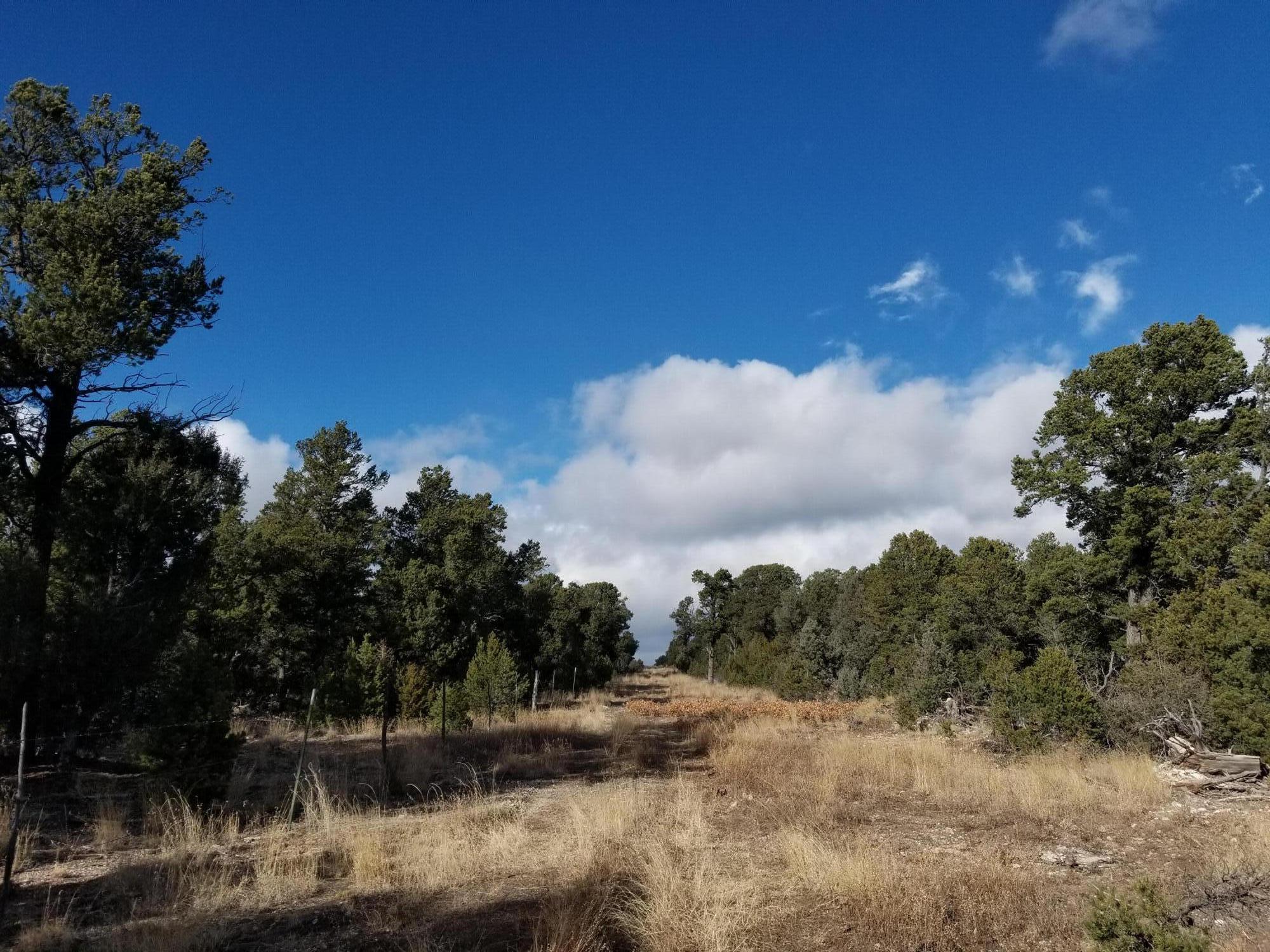 Homes for sale in Pecos, NM | Tbd Pecos, Pecos, NM 87552 | MLS# 1093581