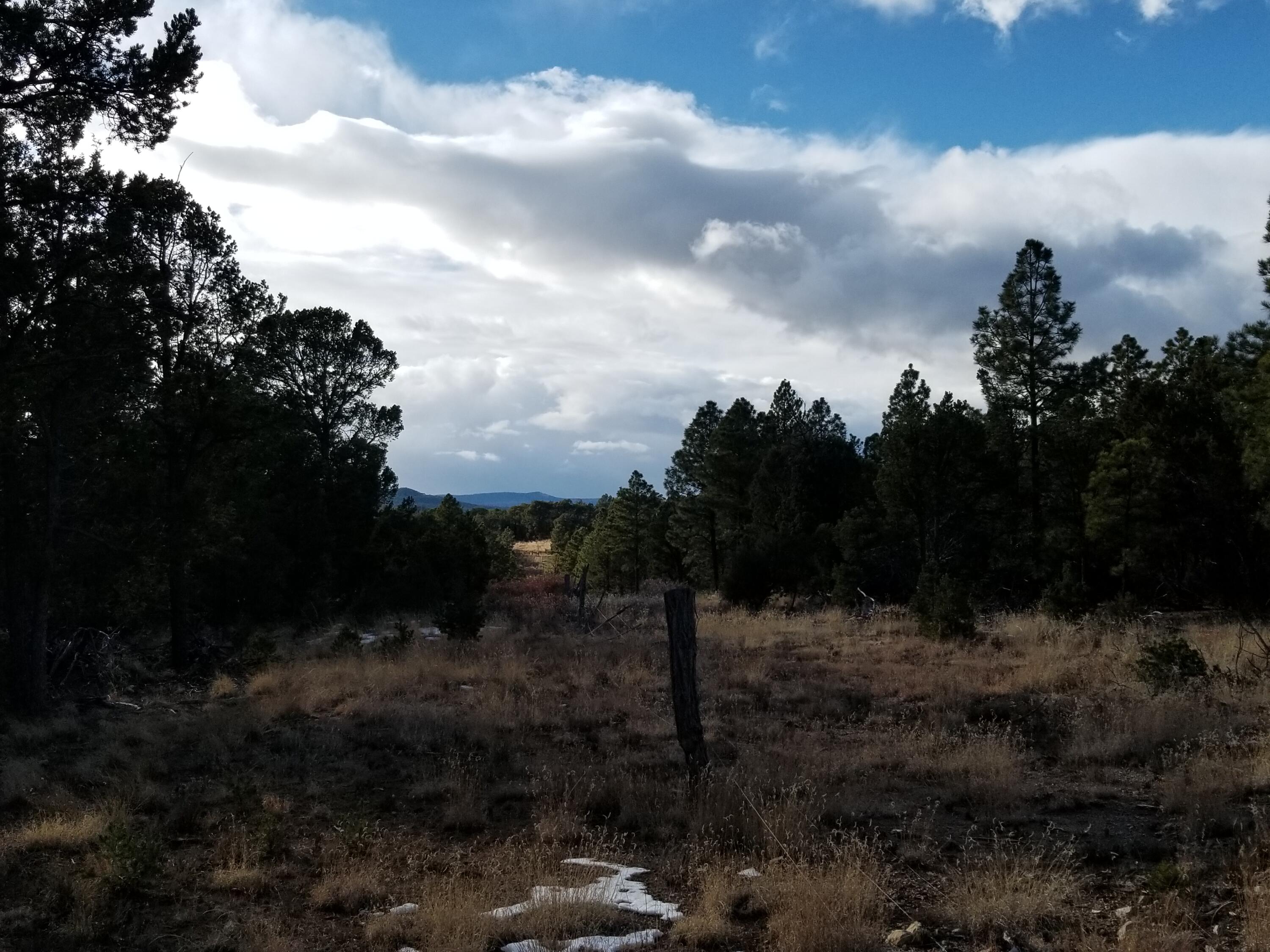 Homes for sale in Pecos, NM | Tbd Pecos, Pecos, NM 87552 | MLS# 1093581