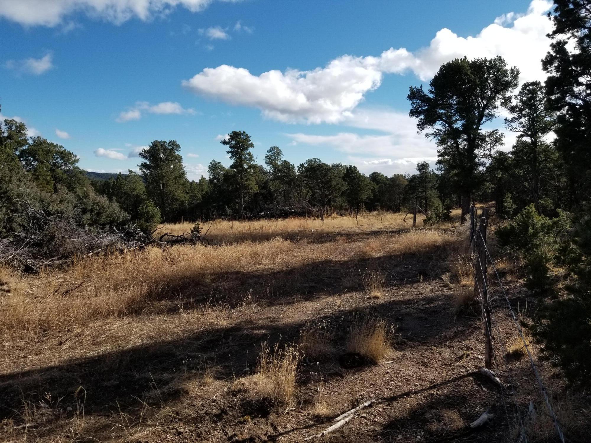 Homes for sale in Pecos, NM | Tbd Pecos, Pecos, NM 87552 | MLS# 1093581