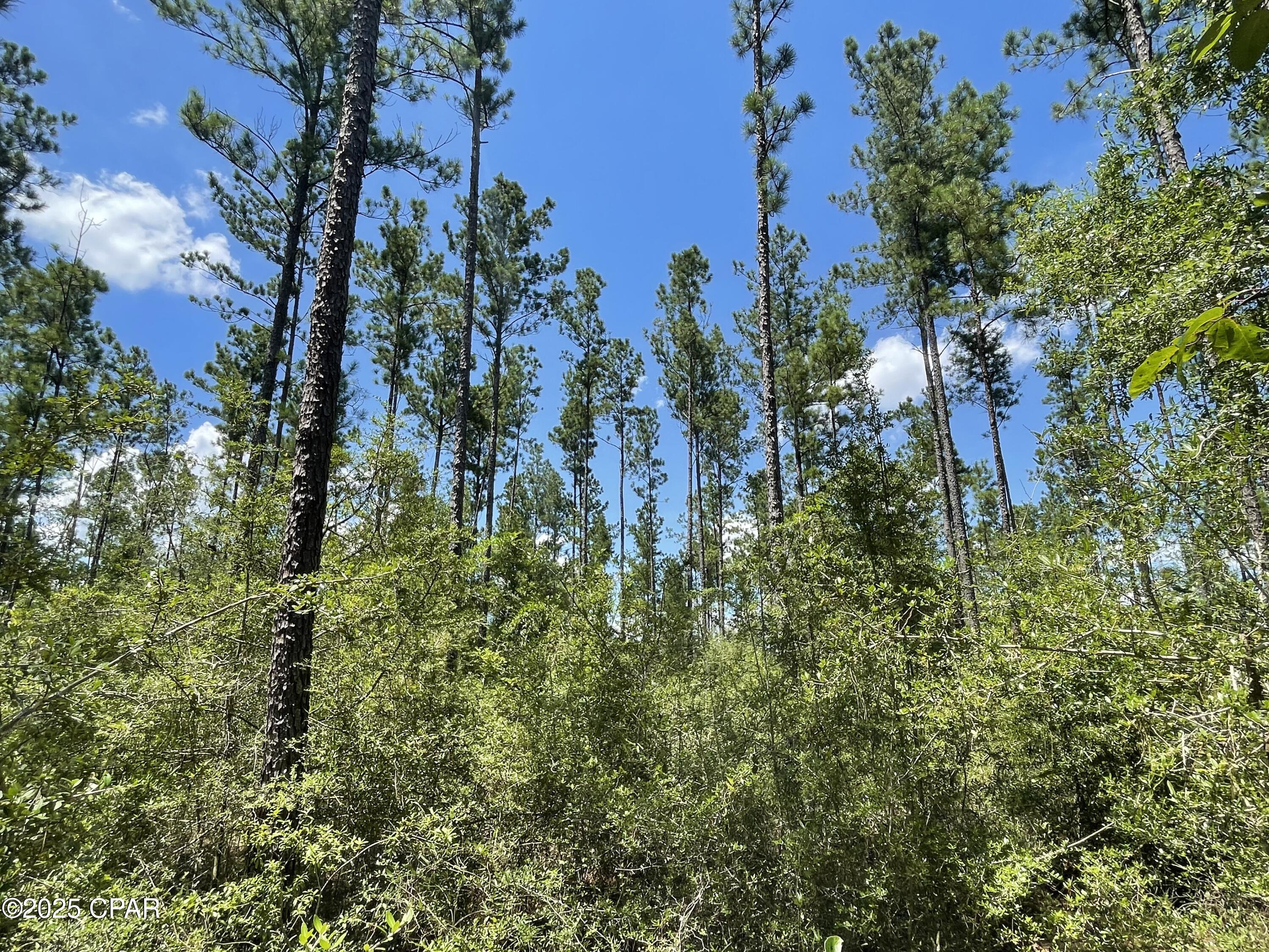 Image 10 For 2826 Irene Street