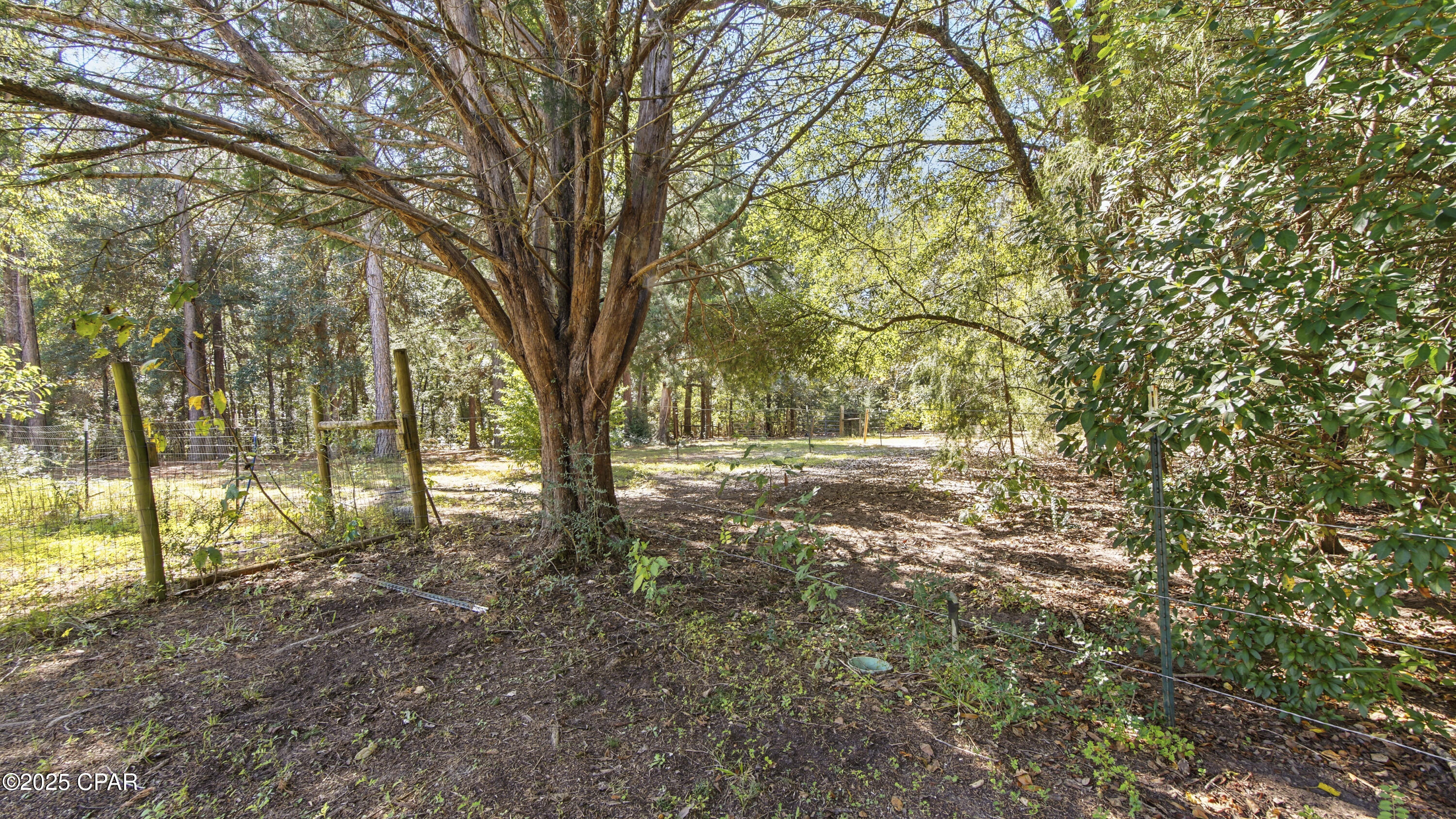 Image 35 For 2826 Irene Street