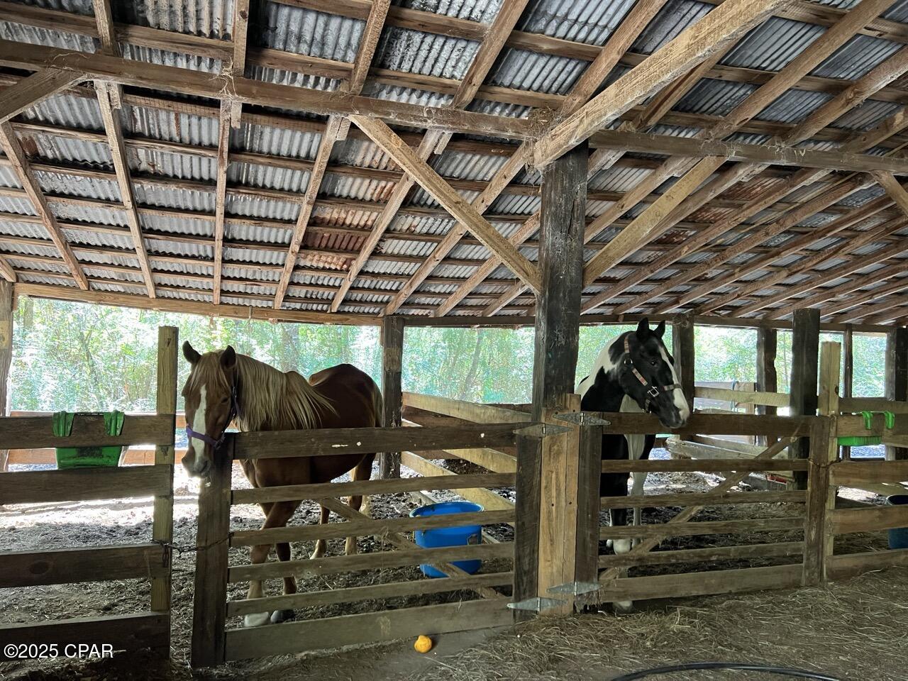 Image 38 For 2826 Irene Street