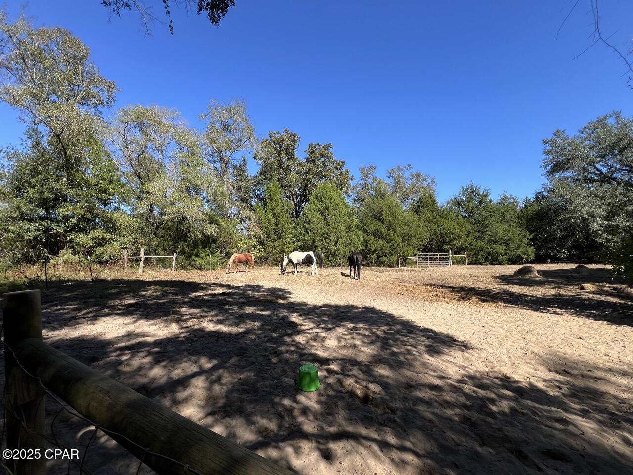 Image 39 For 2826 Irene Street