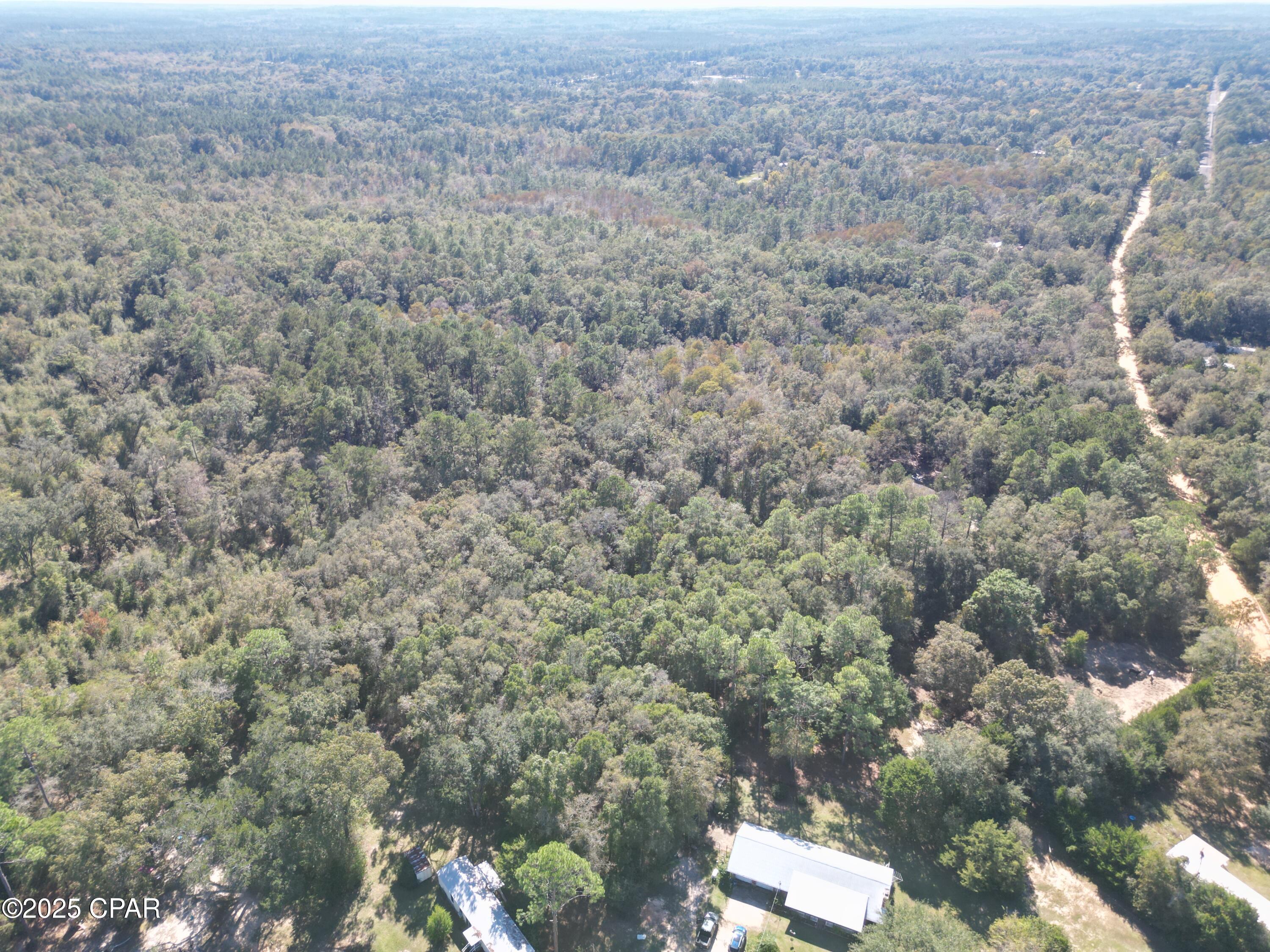 Image 4 For 2826 Irene Street