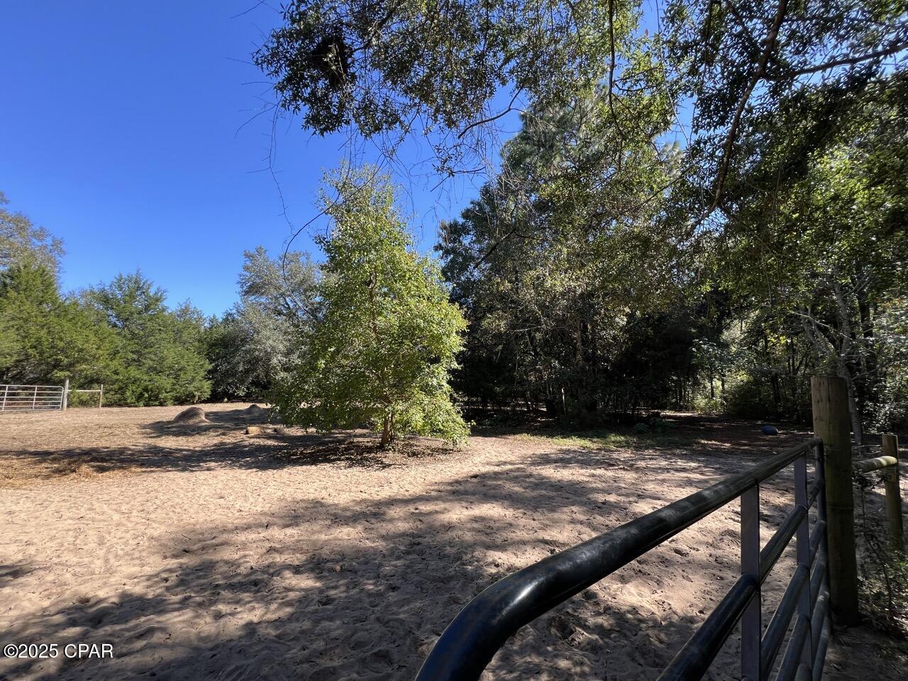 Image 40 For 2826 Irene Street