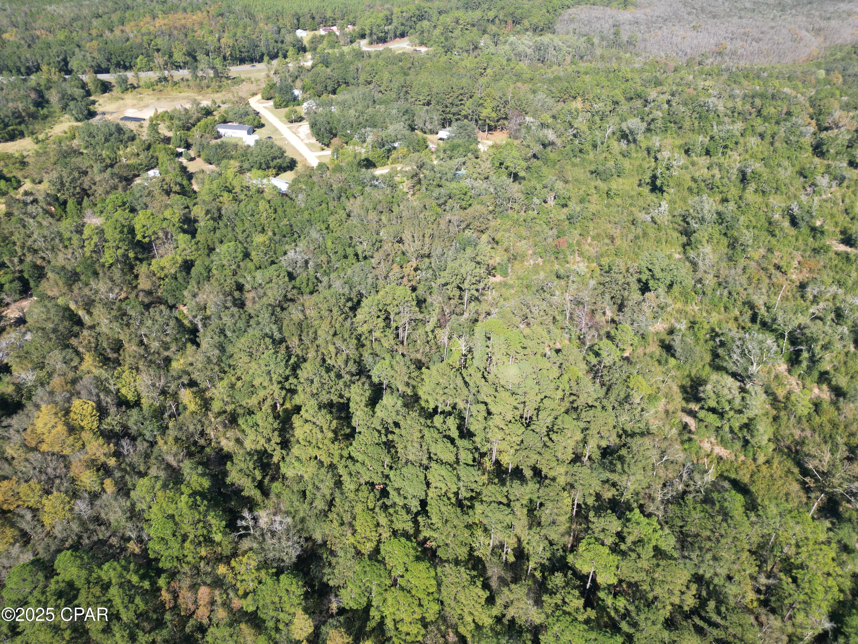 Image 6 For 2826 Irene Street