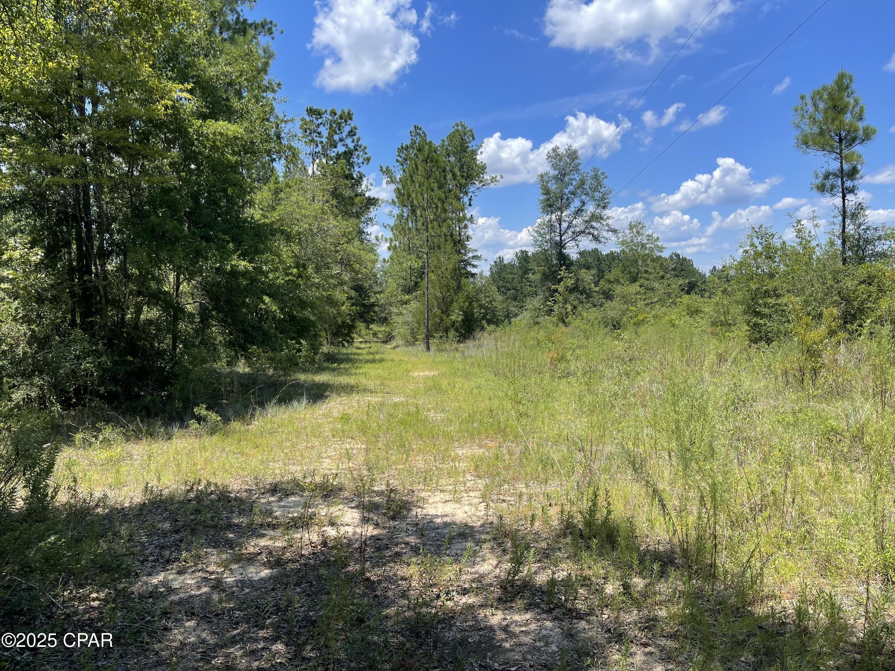 Image 8 For 2826 Irene Street