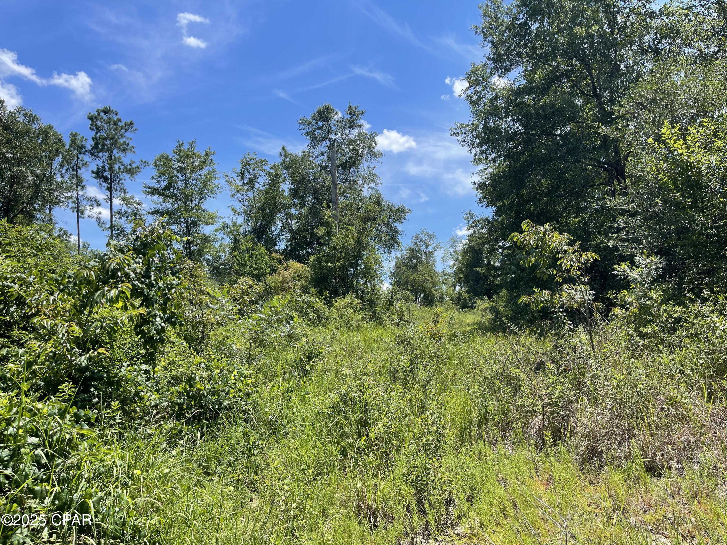 Image 9 For 2826 Irene Street