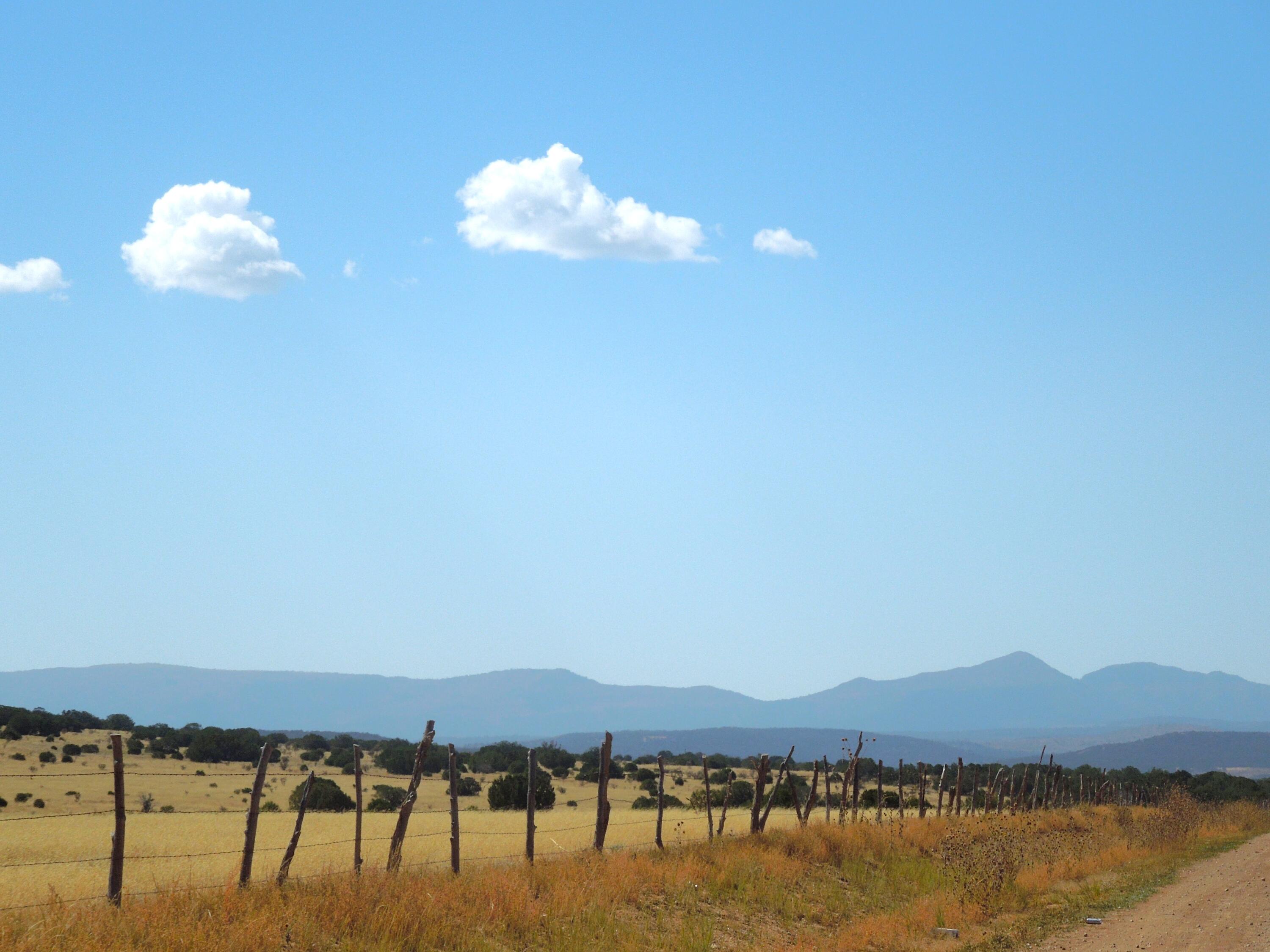 Photo 15 —  Lot 117 S
