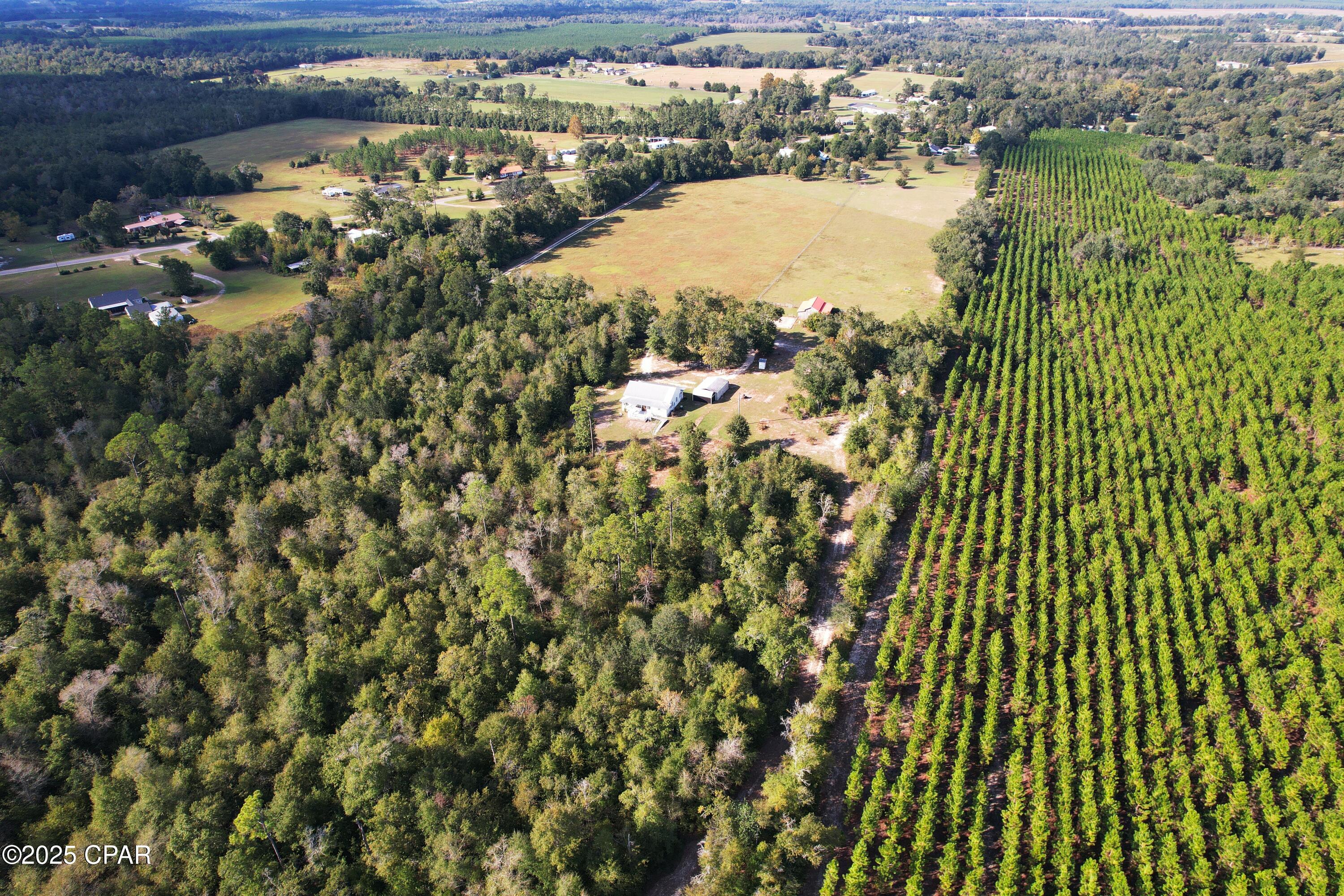 Image 6 For 6479 Blue Springs Road