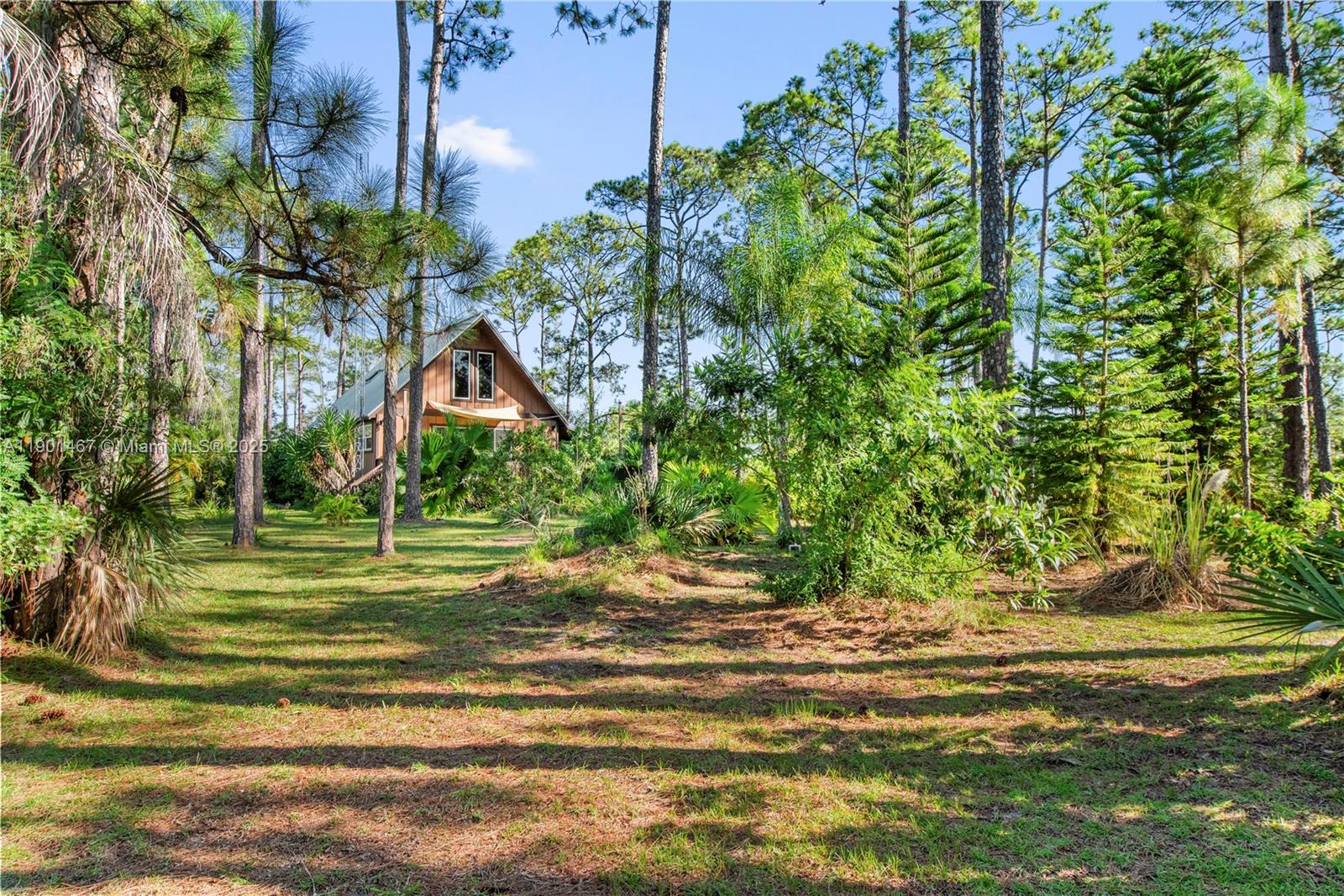 Orange Blossom Acre Lots