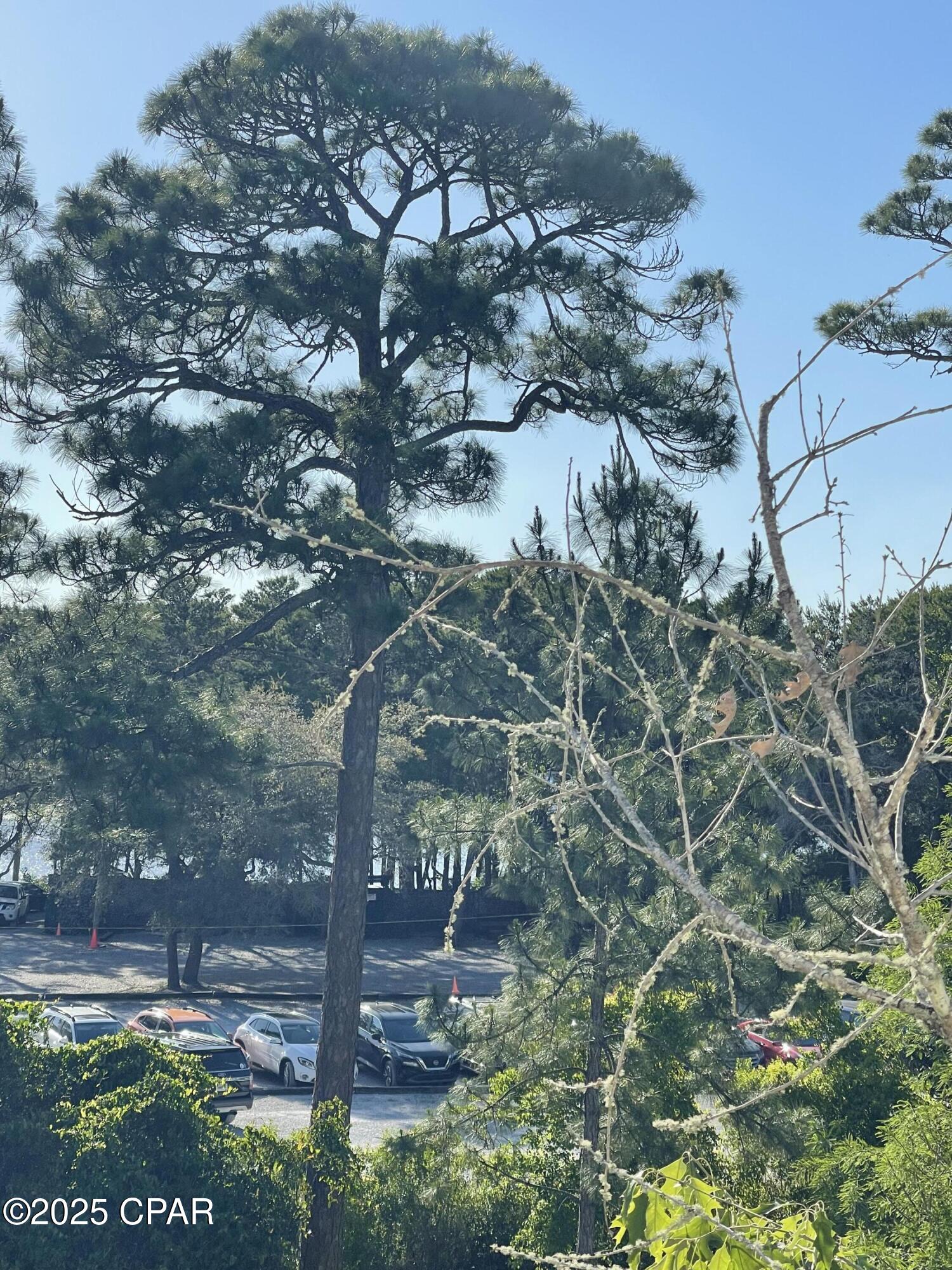 Image 28 For 34 Herons Watch Way 2304