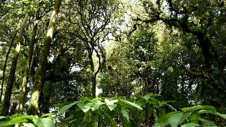 Homes for sale in Port St Lucie, FL | 5791 Nw Whitecap Road, Port St Lucie, FL 34986 | MLS# R11135877