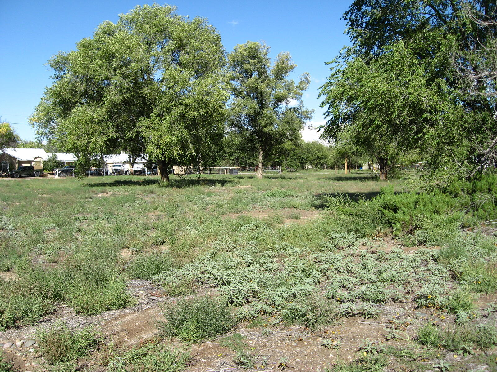 Homes for sale in Peralta, NM | 00 Forgotten Promise Tr2 Ln, Peralta, NM 87042 | MLS# 1093629